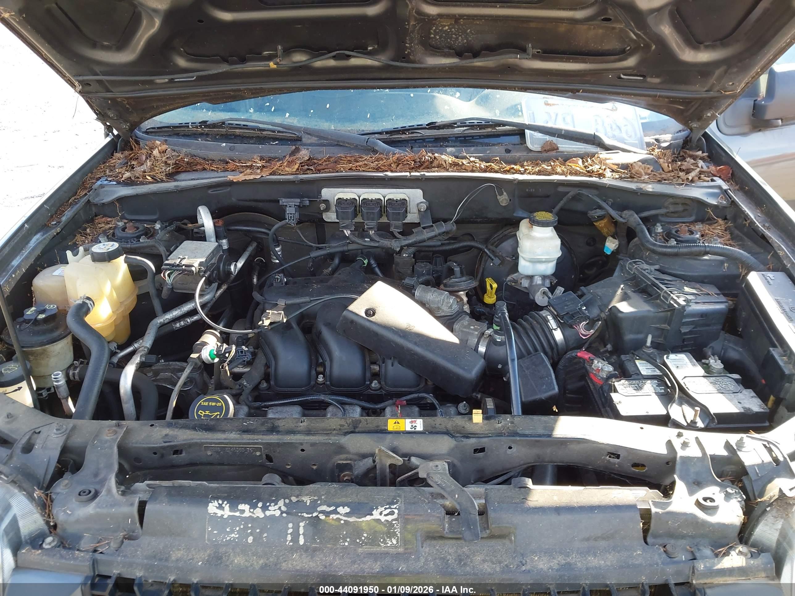 FORD ESCAPE image 10