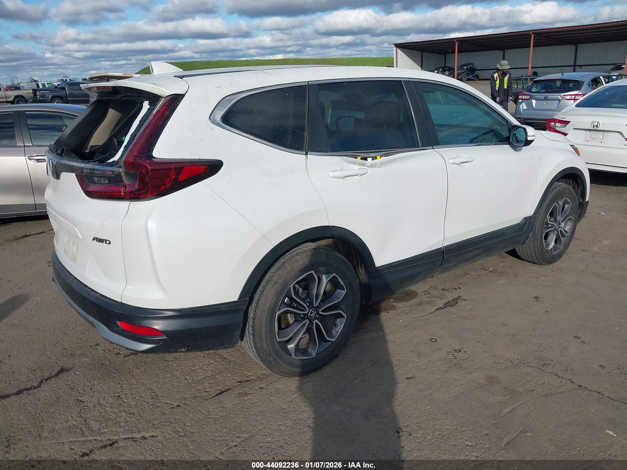 HONDA CR-V image 4