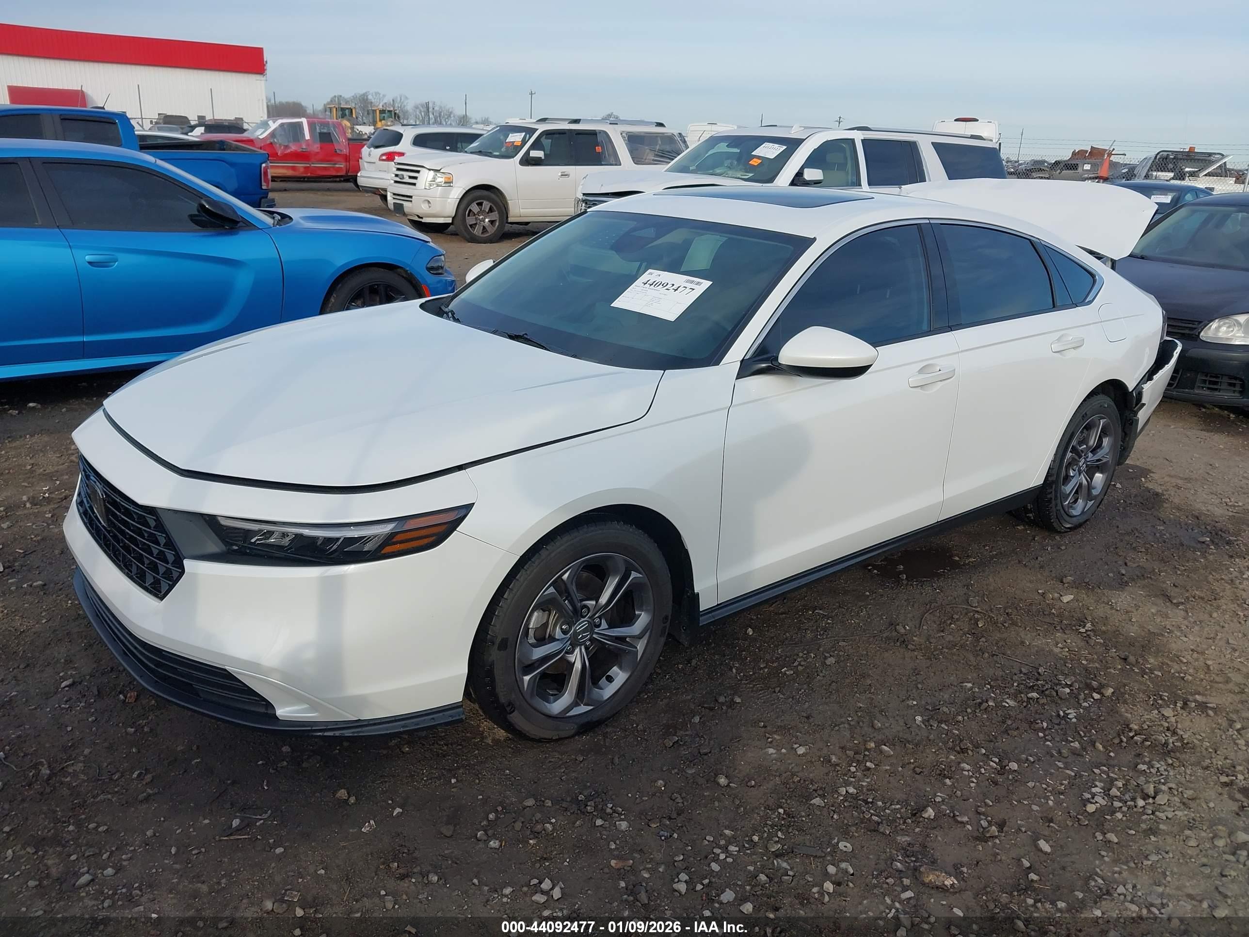 HONDA ACCORD image 2