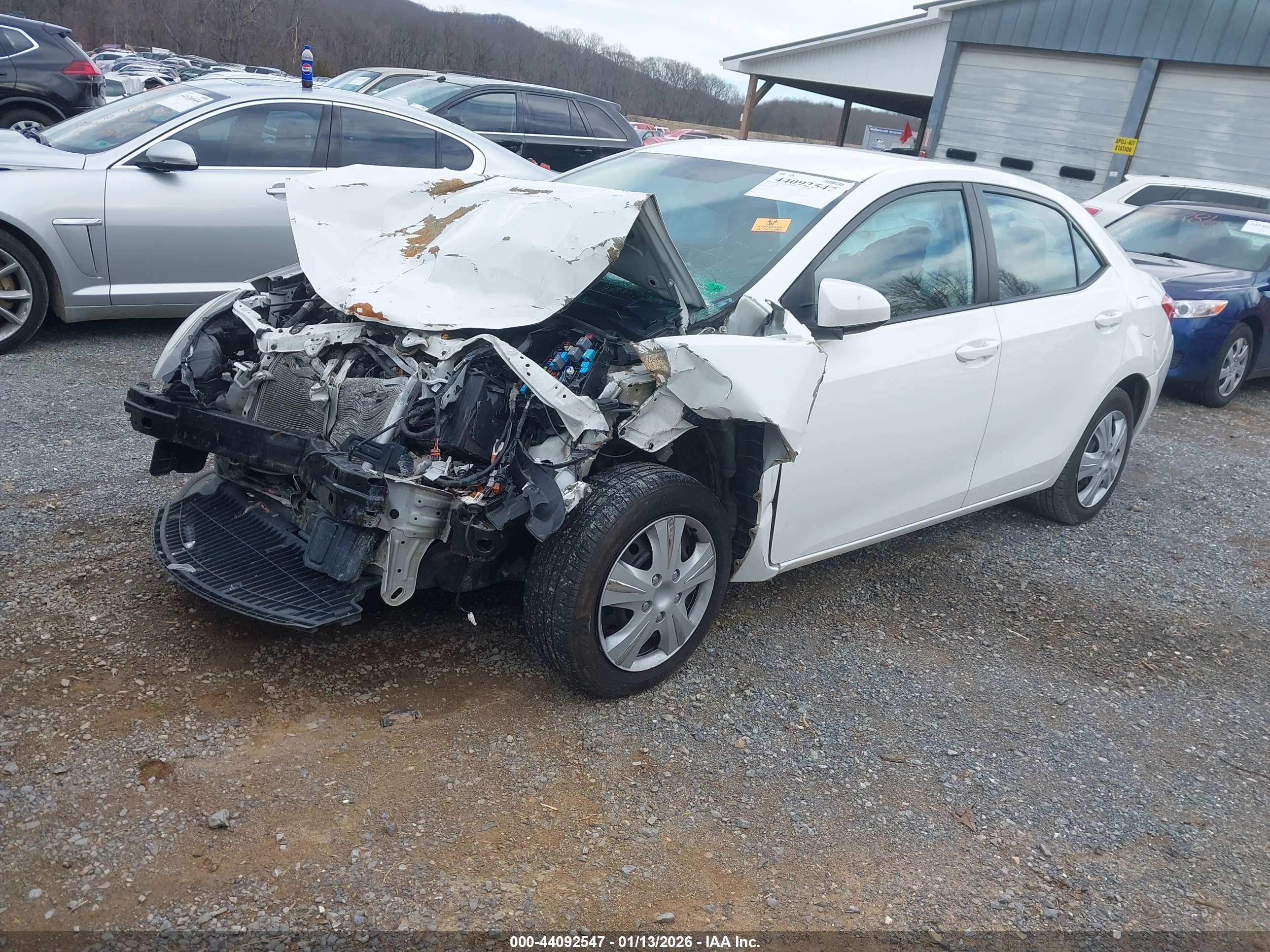 TOYOTA COROLLA image 2