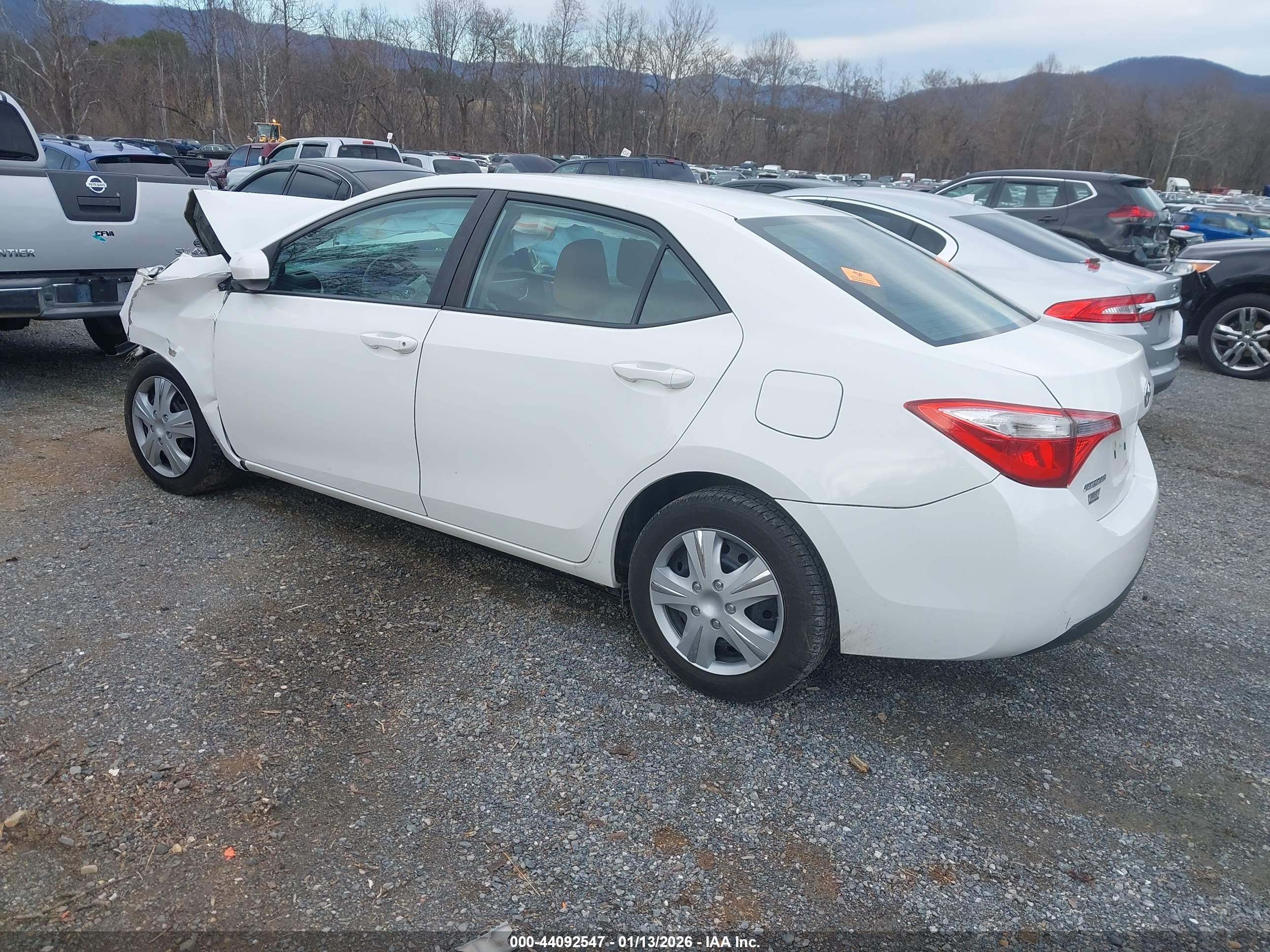 TOYOTA COROLLA image 3