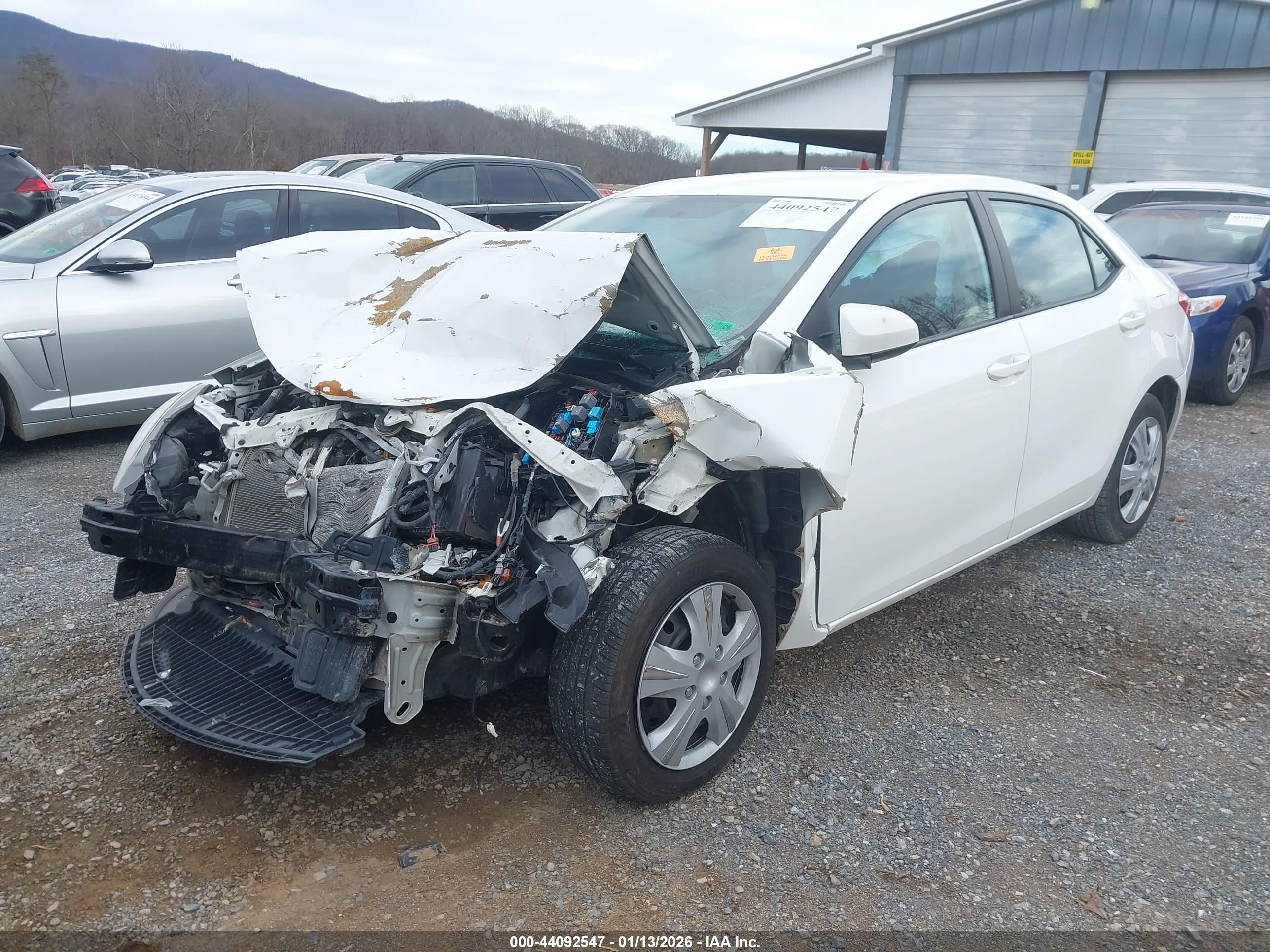 TOYOTA COROLLA image 6