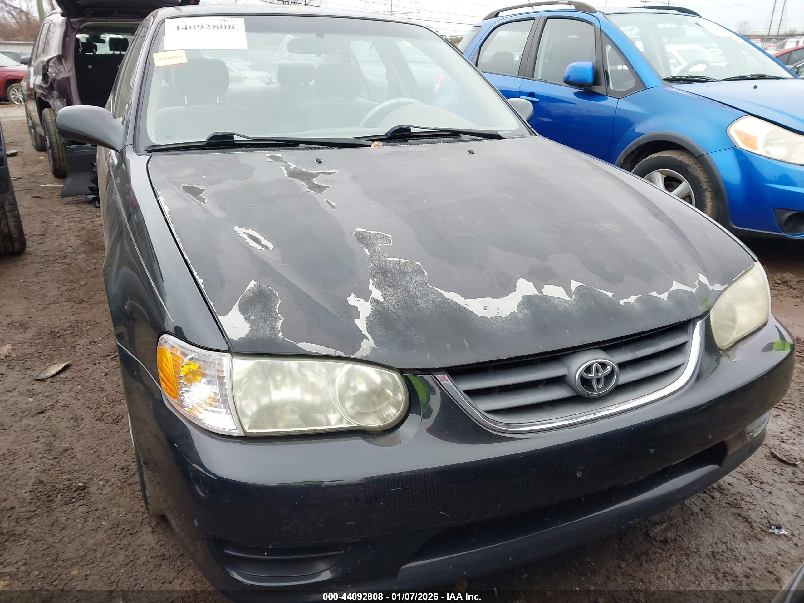 TOYOTA COROLLA image 6