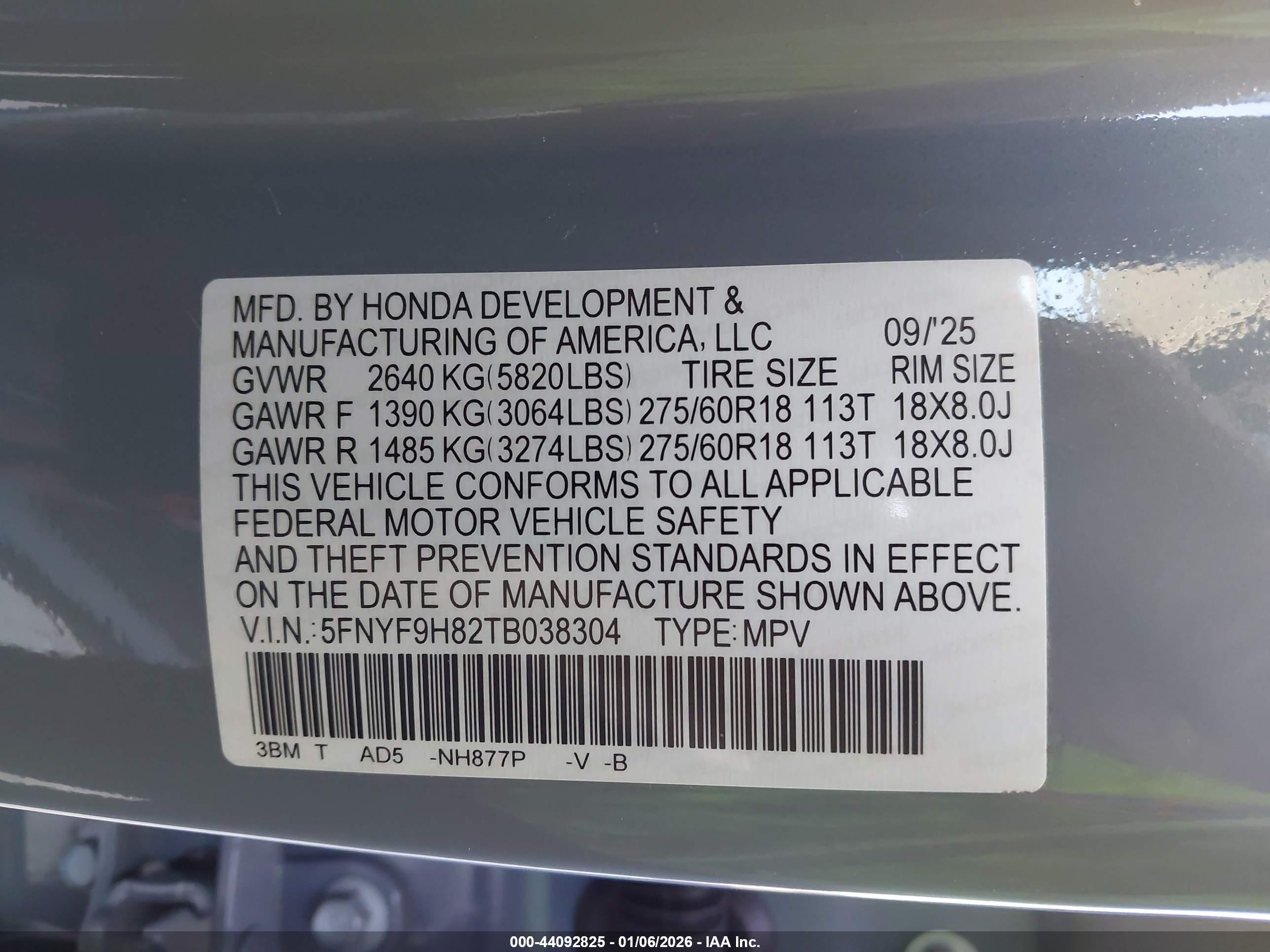 HONDA PASSPORT image 9