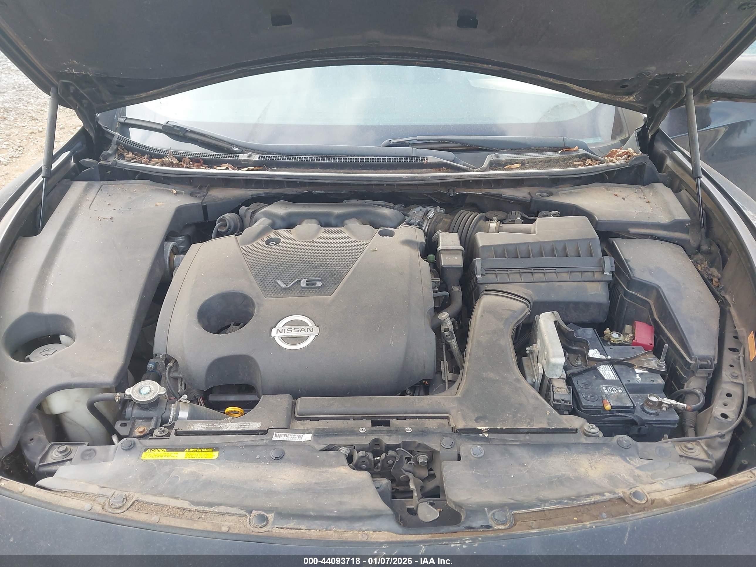 NISSAN MAXIMA image 10