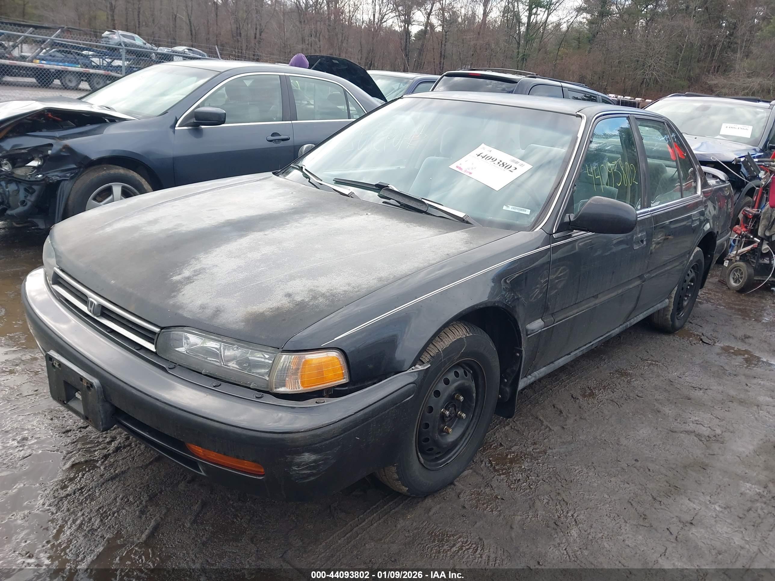 HONDA ACCORD image 2