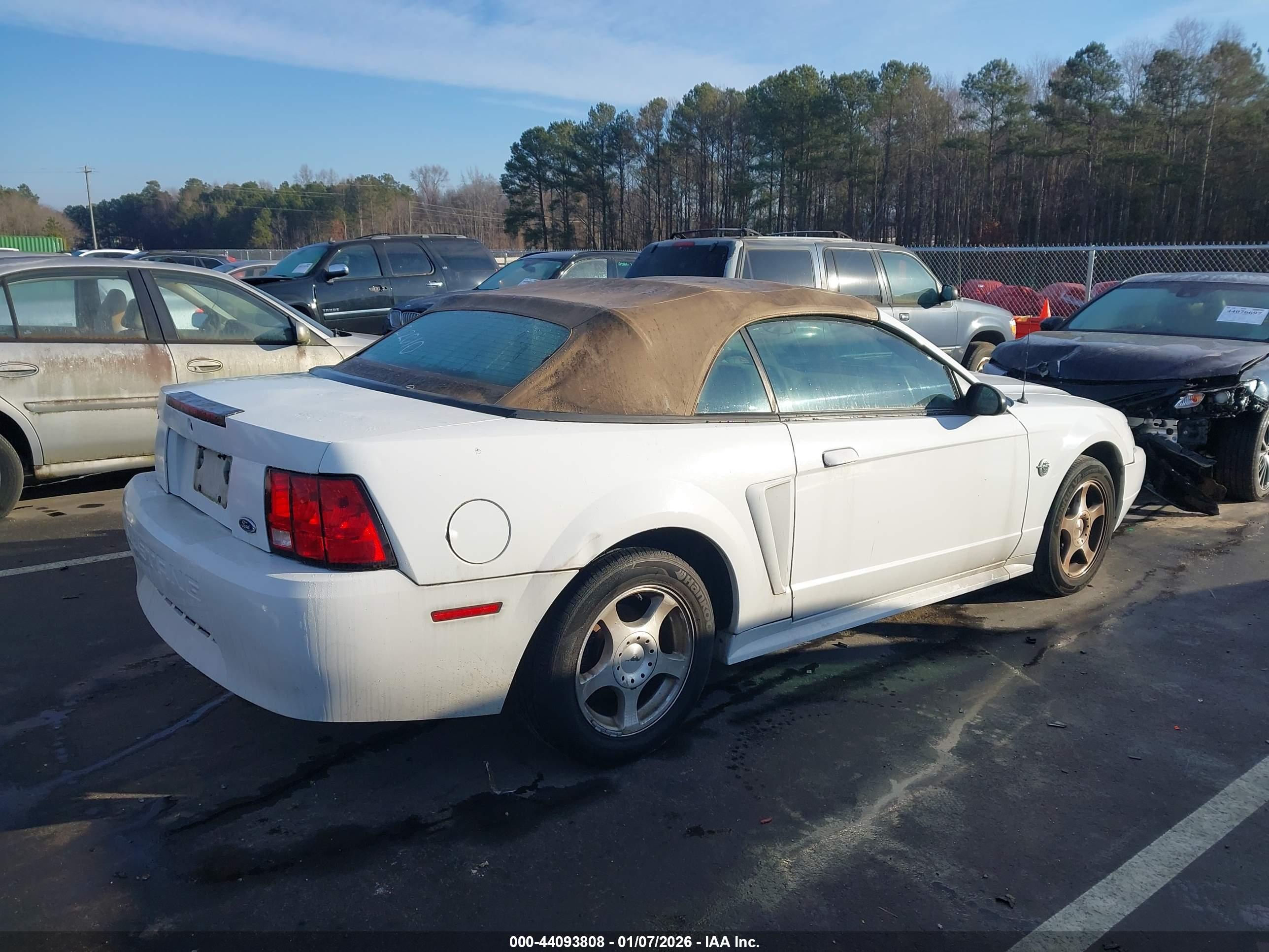 FORD MUSTANG image 4