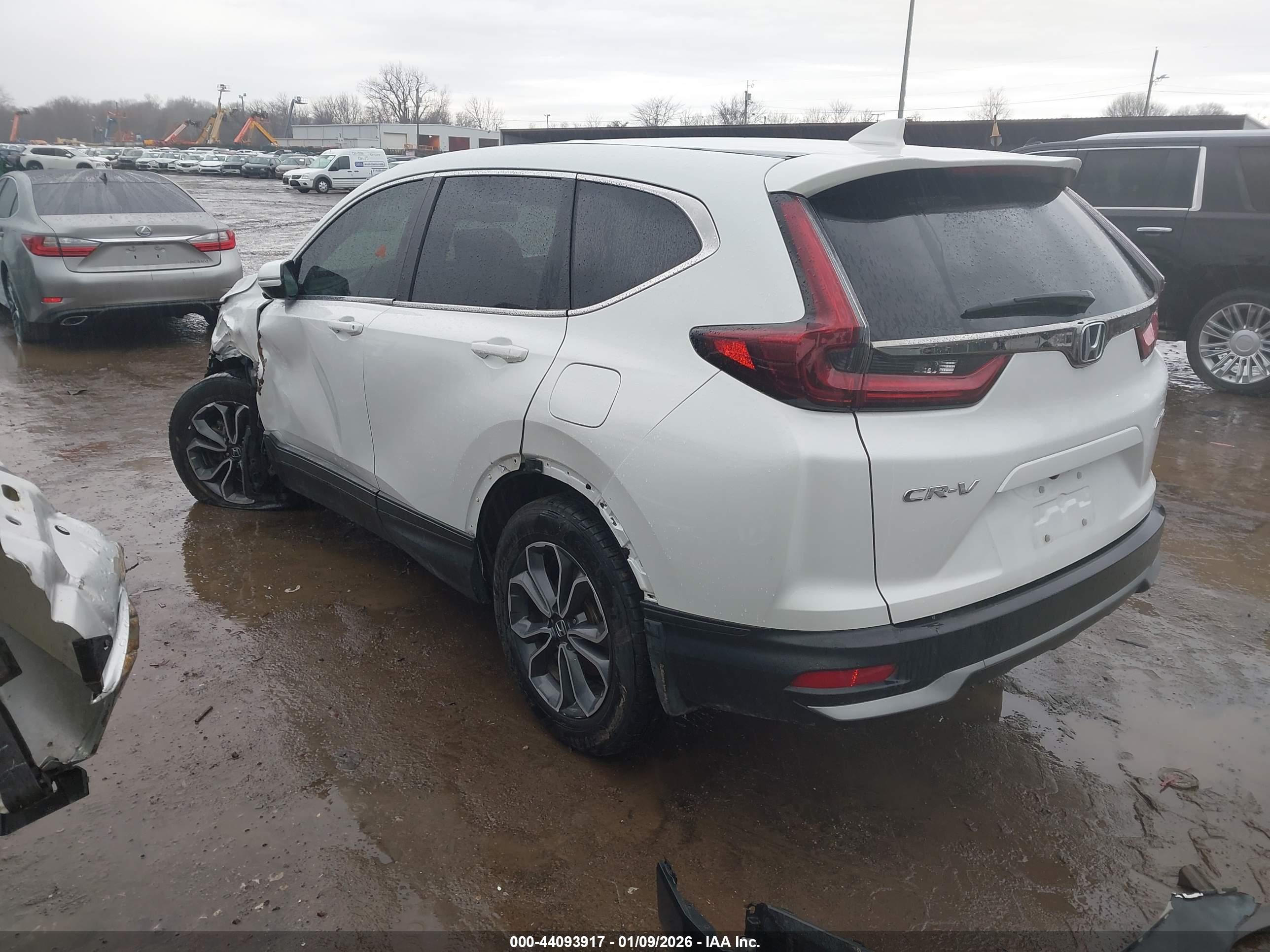 HONDA CR-V image 3
