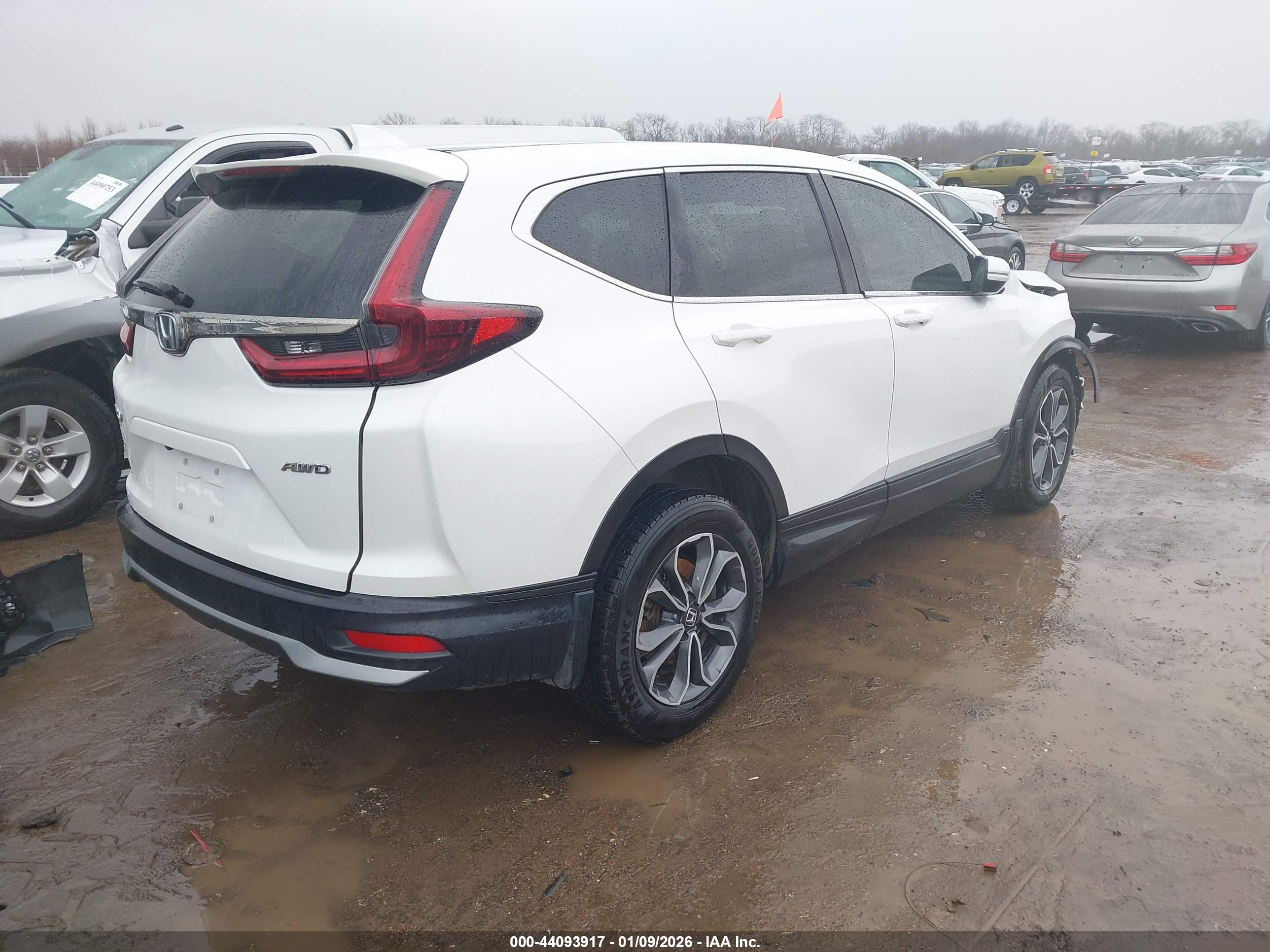 HONDA CR-V image 4