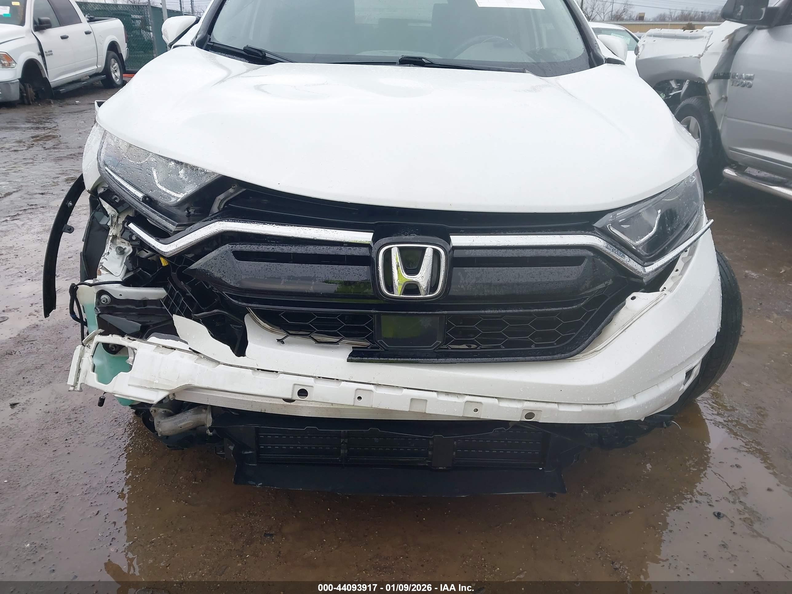 HONDA CR-V image 6