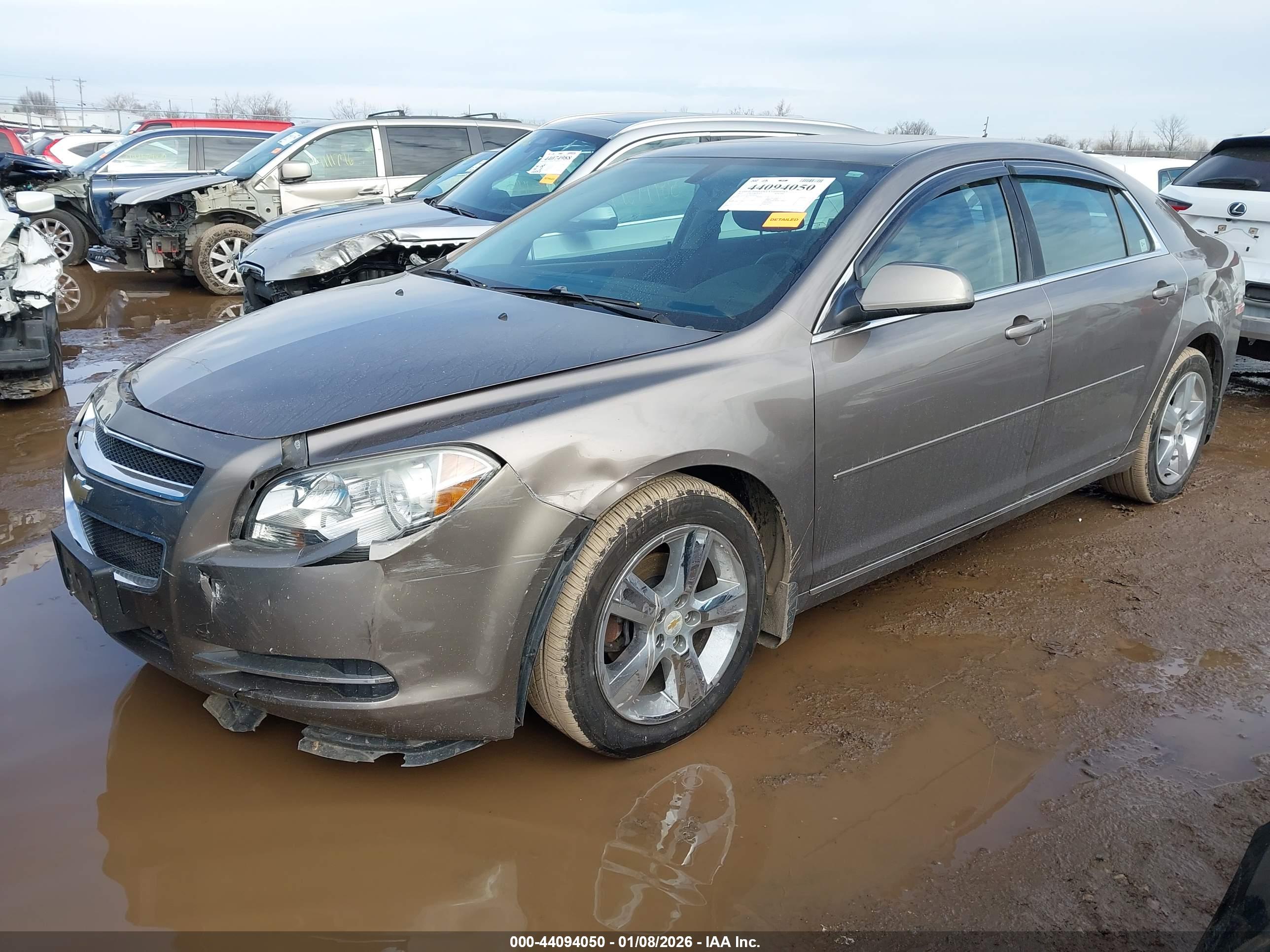 CHEVROLET MALIBU image 2