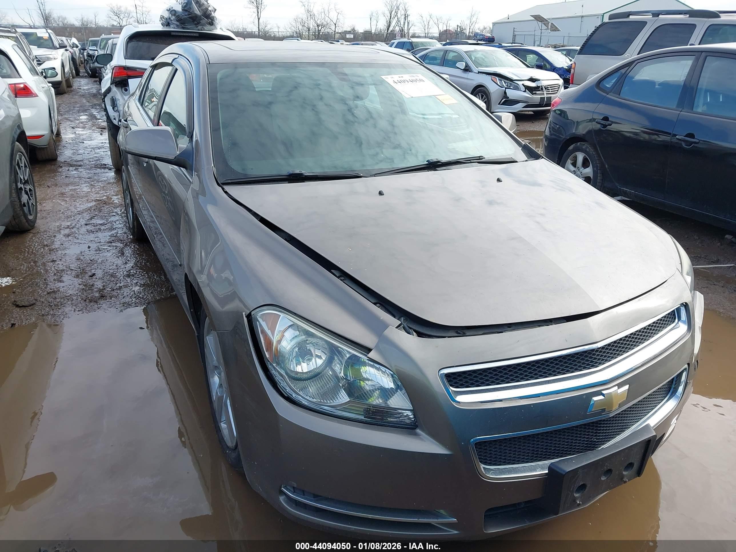 CHEVROLET MALIBU image 6