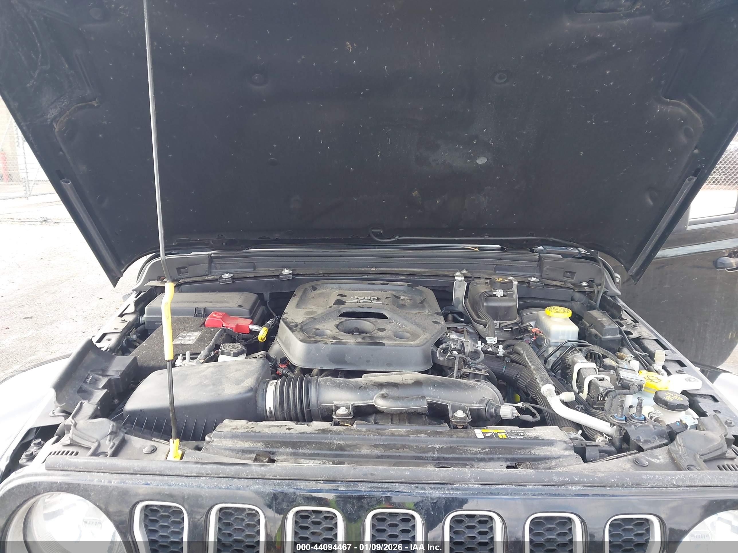 JEEP WRANGLER image 10