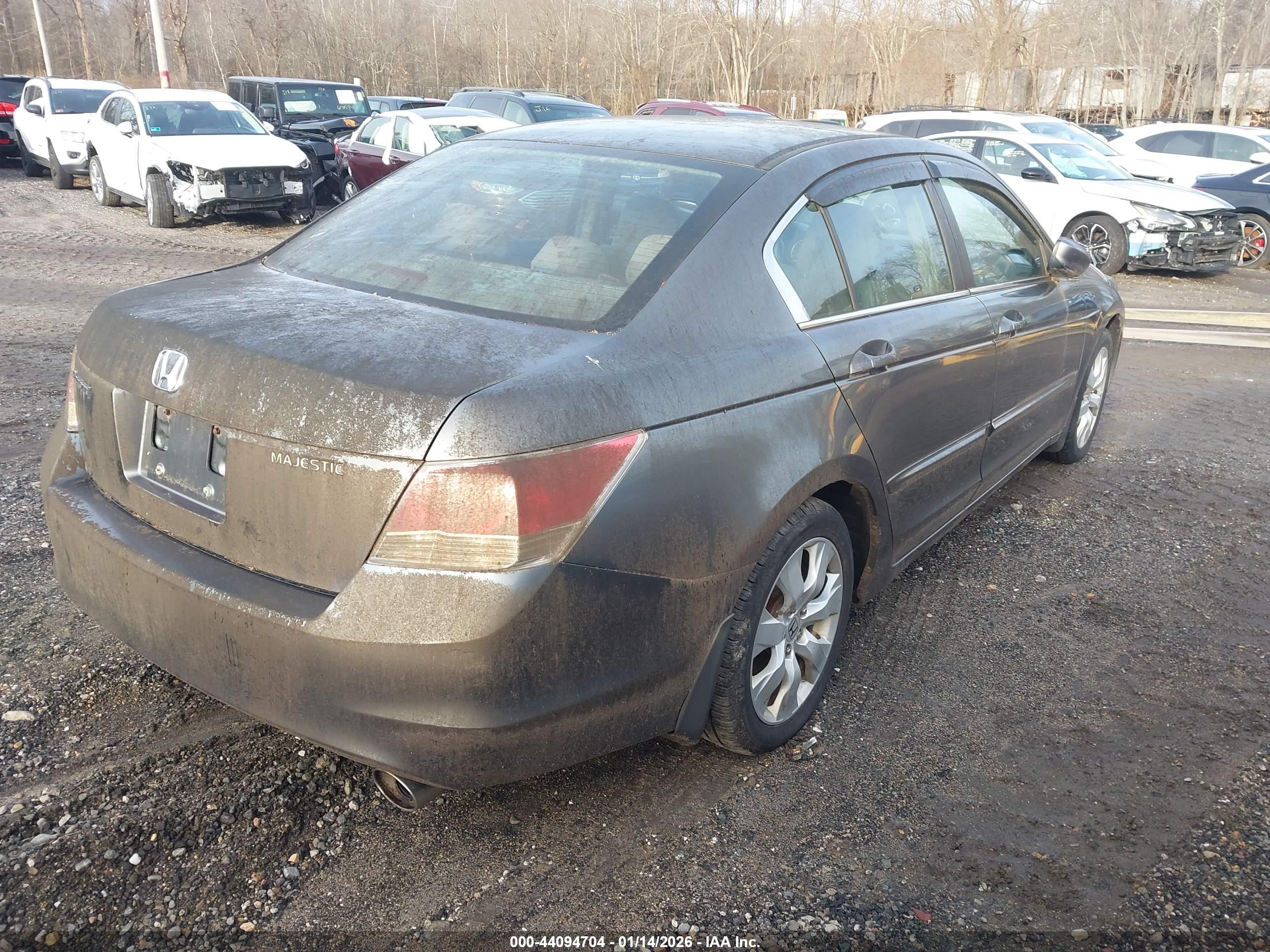 HONDA ACCORD image 4