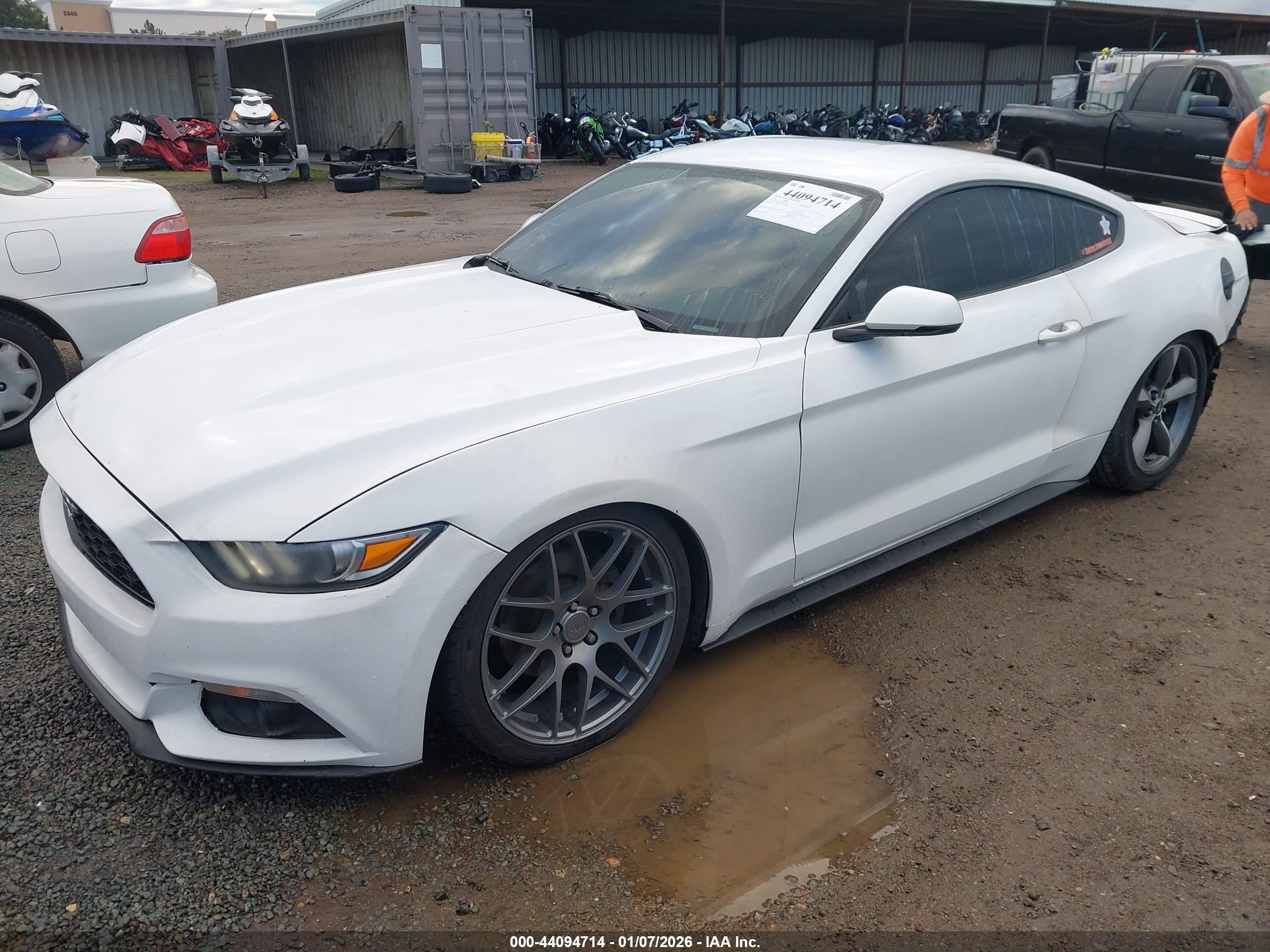 FORD MUSTANG image 2