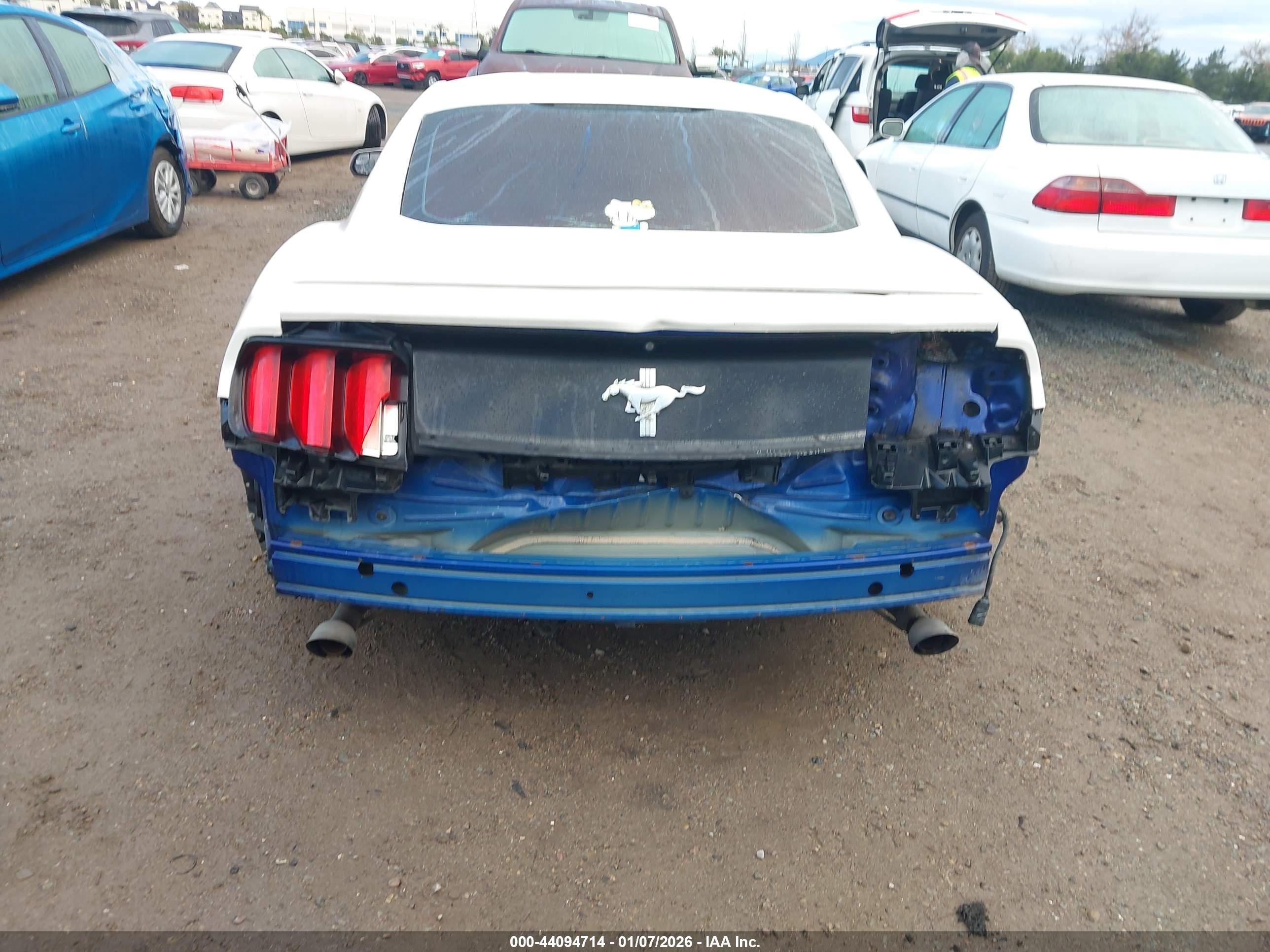 FORD MUSTANG image 6