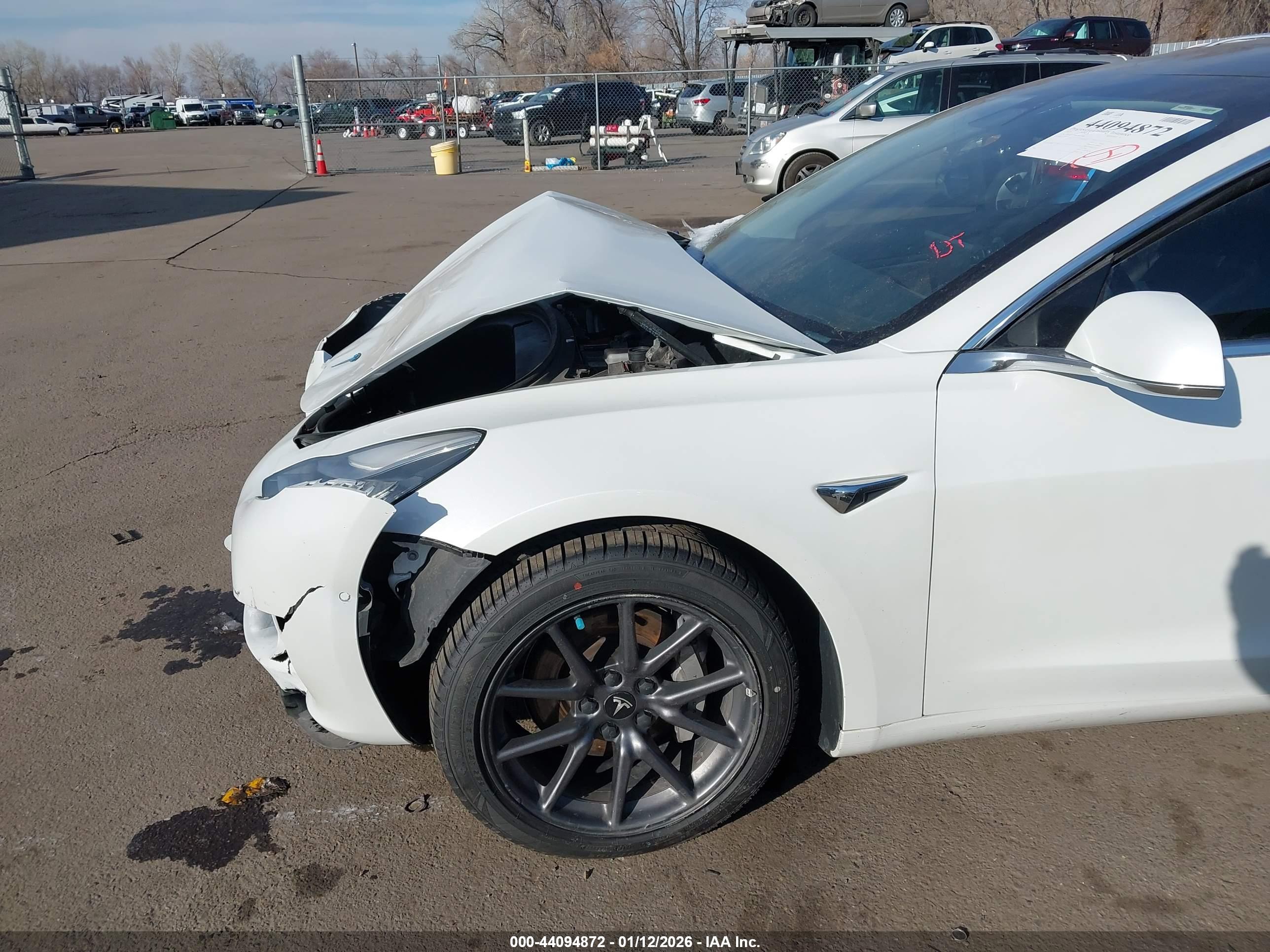 TESLA MODEL image 6