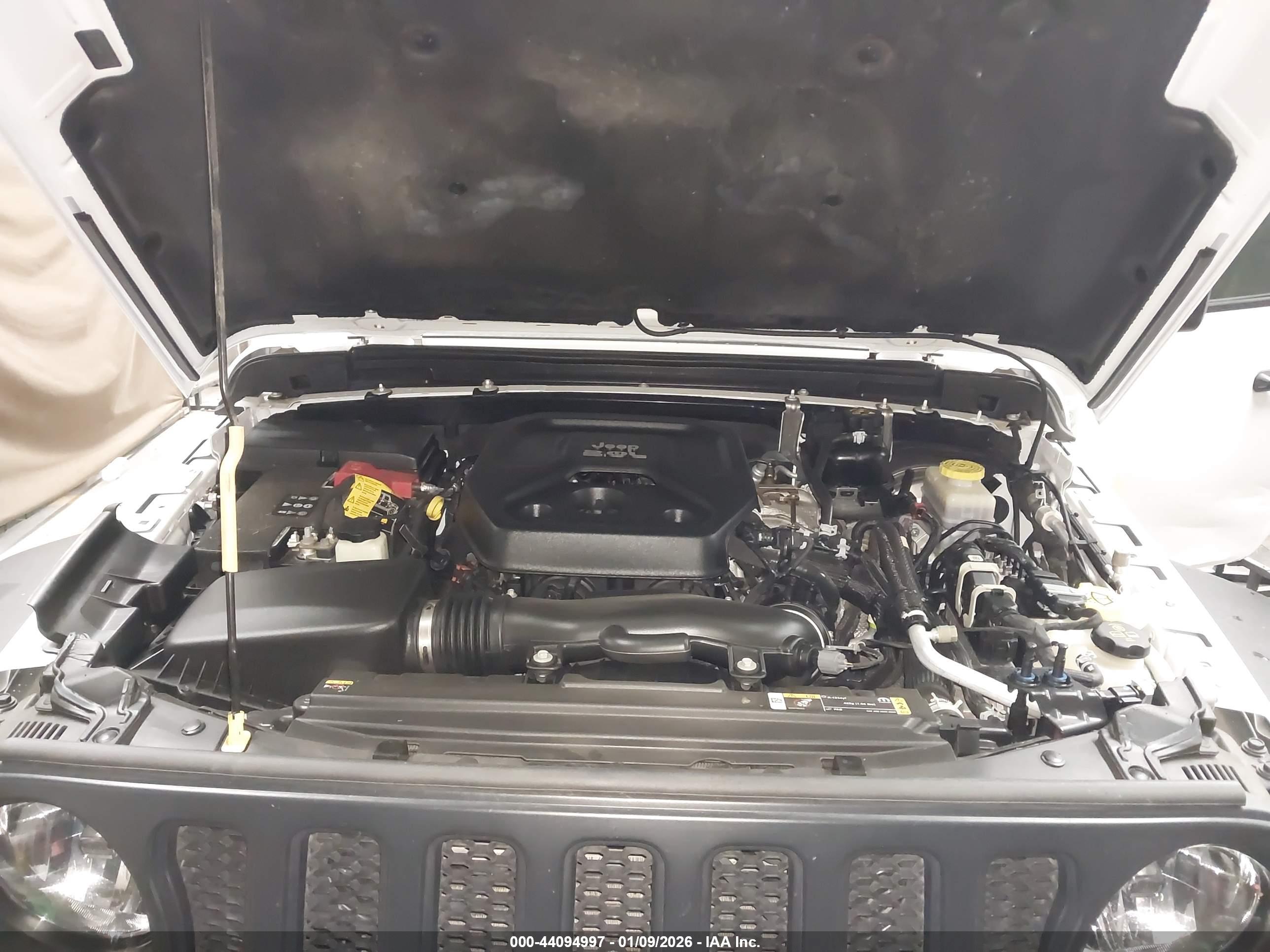 JEEP WRANGLER image 10