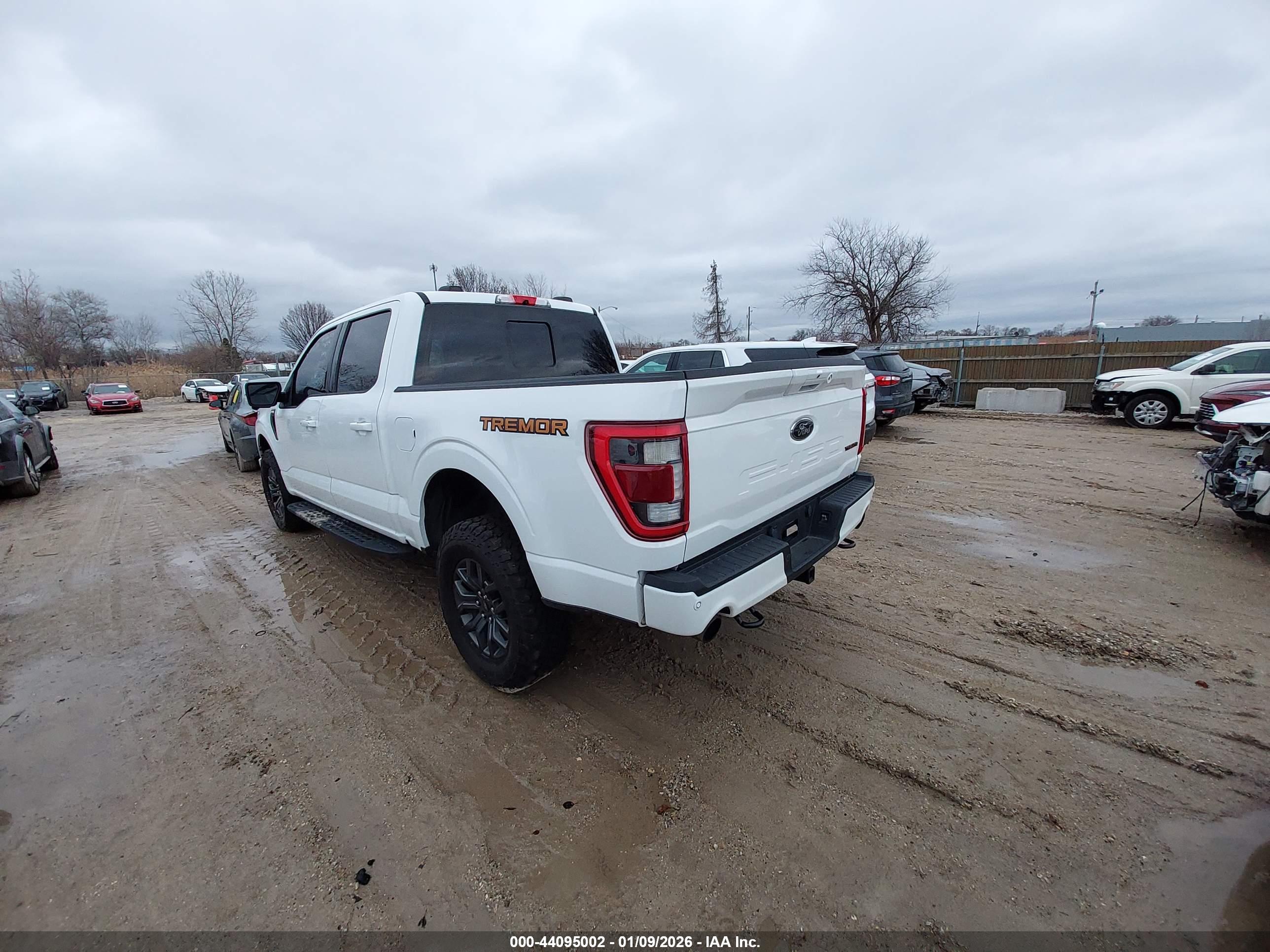 FORD F-150 image 3