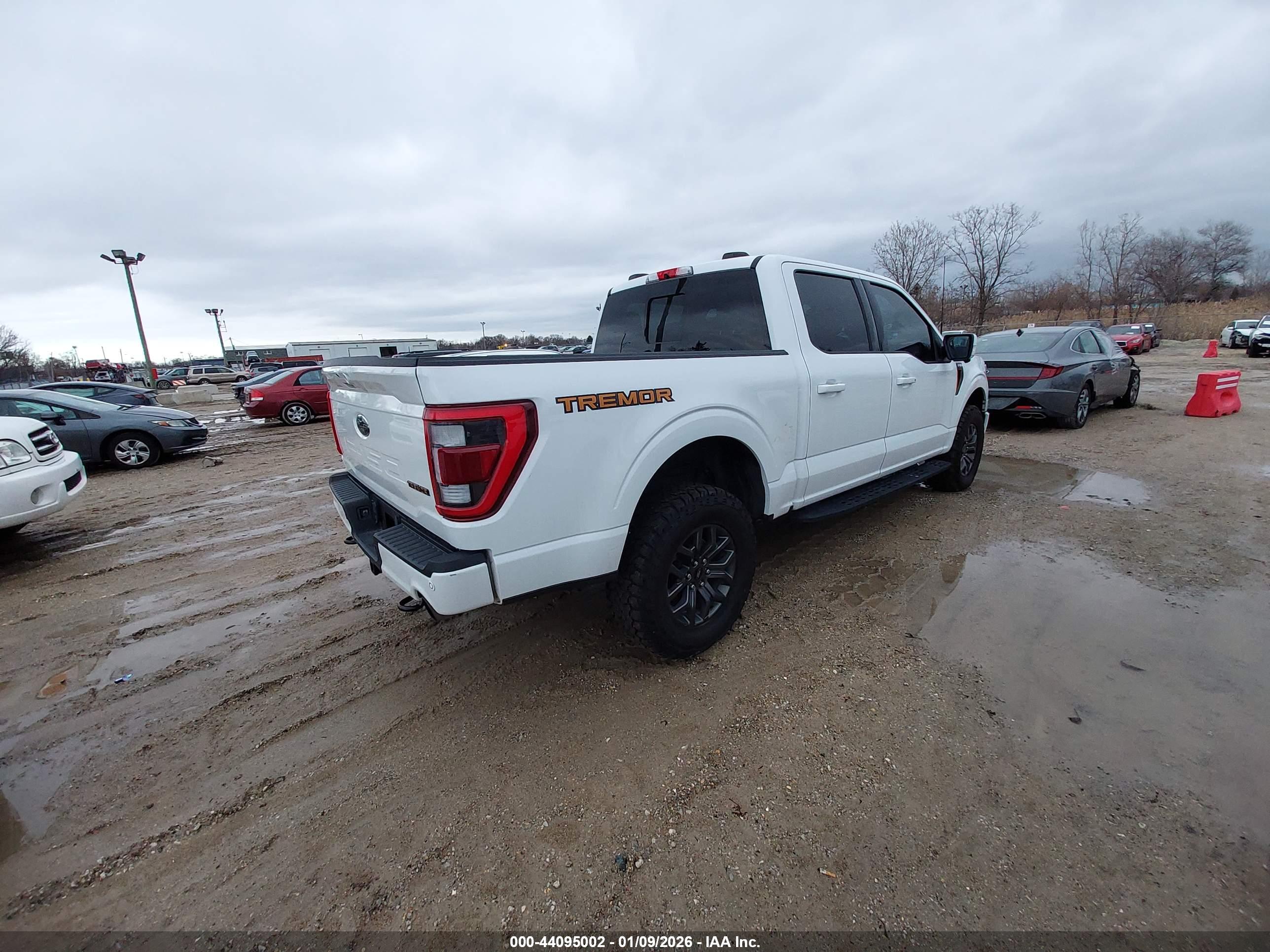 FORD F-150 image 4