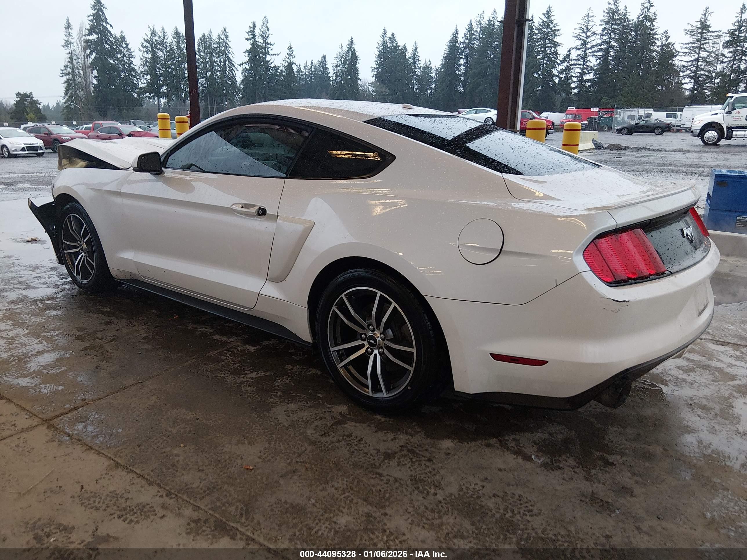FORD MUSTANG image 3