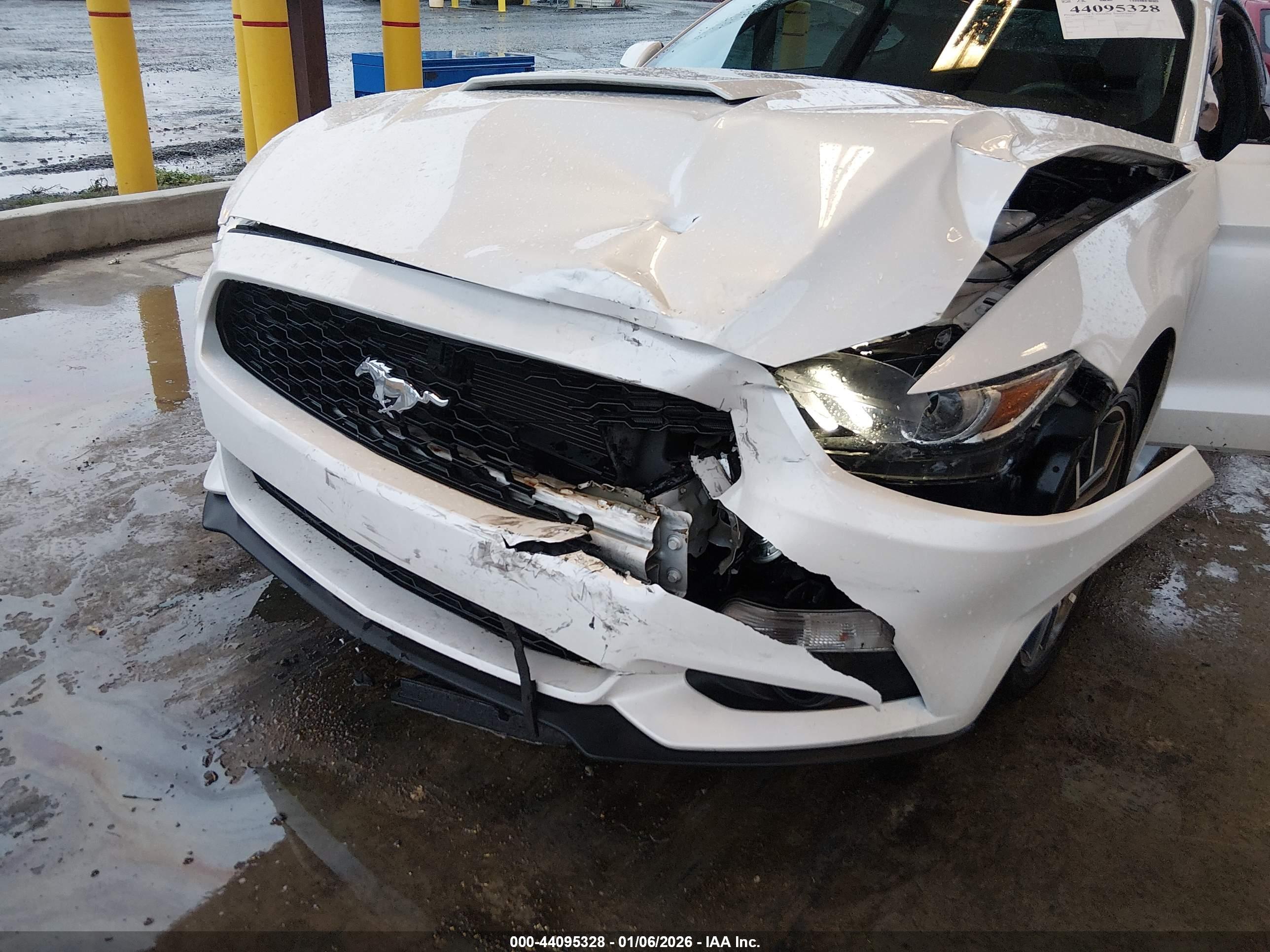 FORD MUSTANG image 6