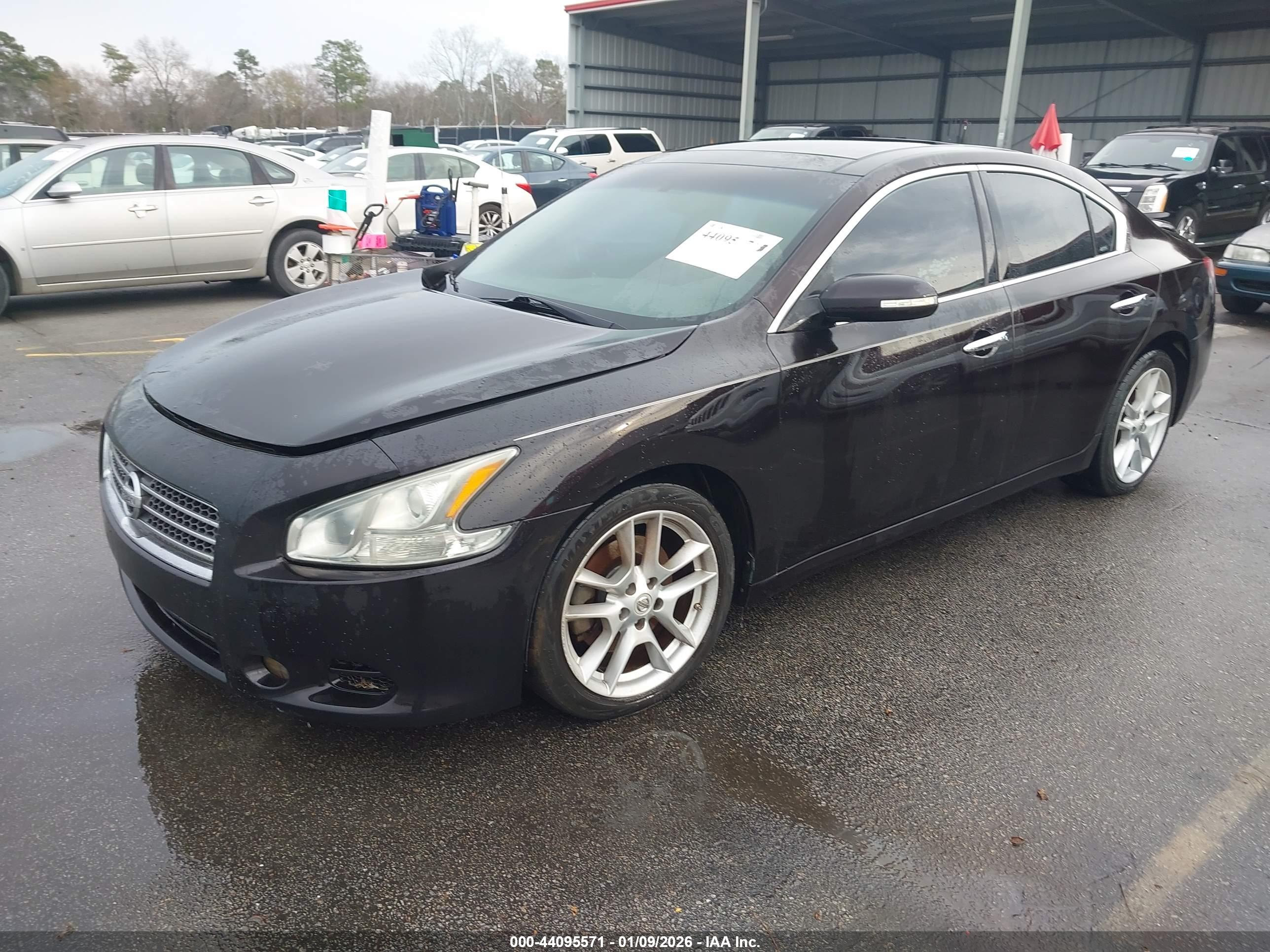 NISSAN MAXIMA image 2