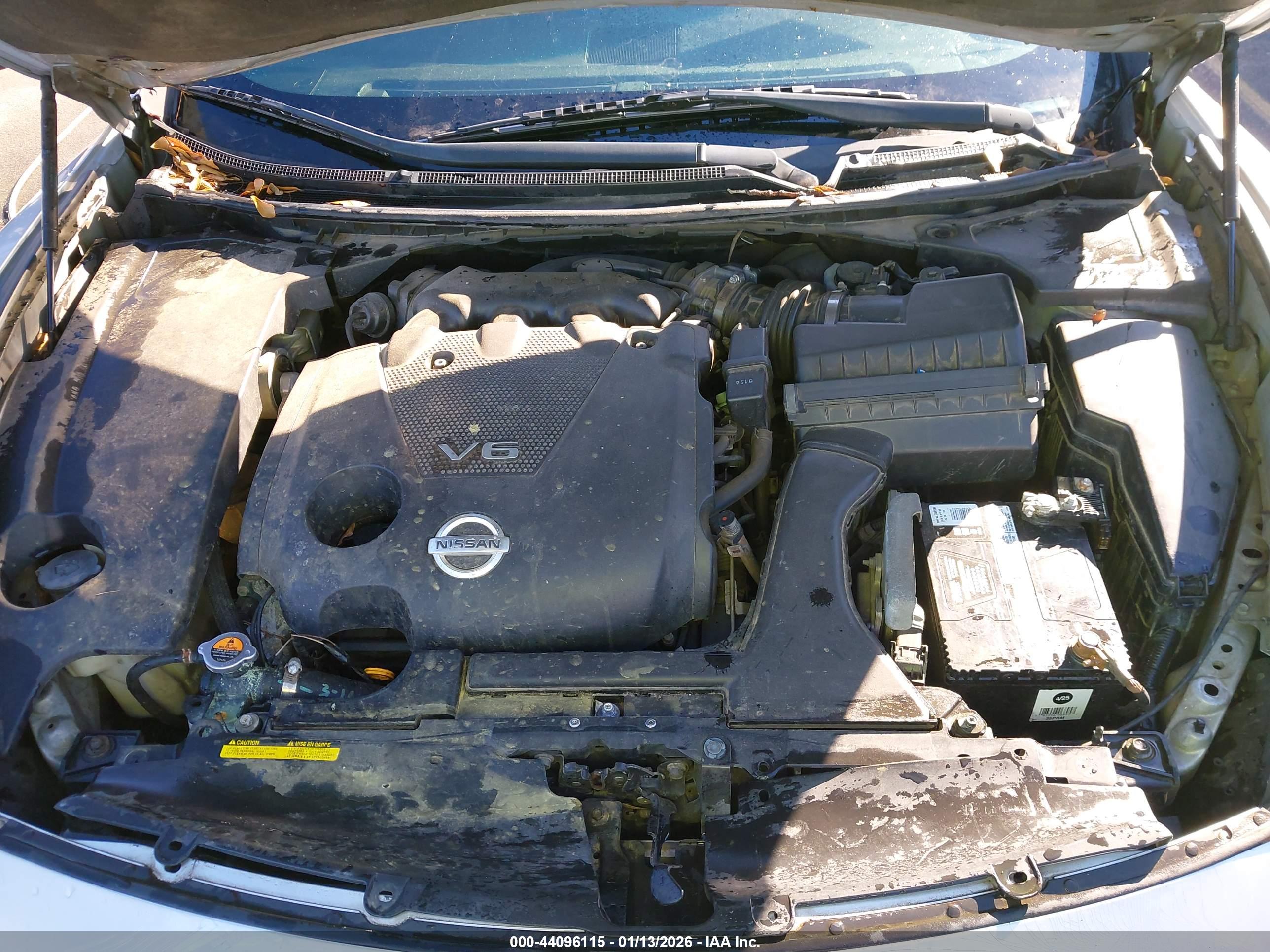 NISSAN MAXIMA image 10