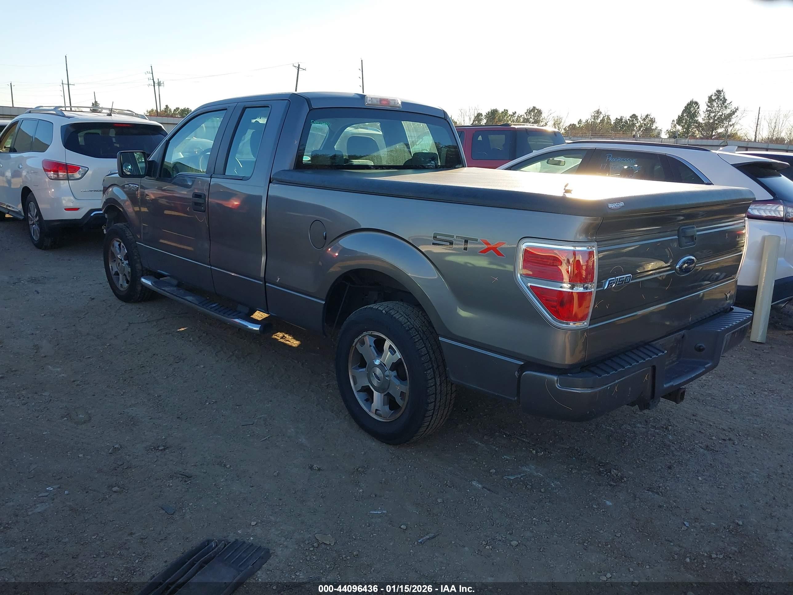 FORD F-150 image 3