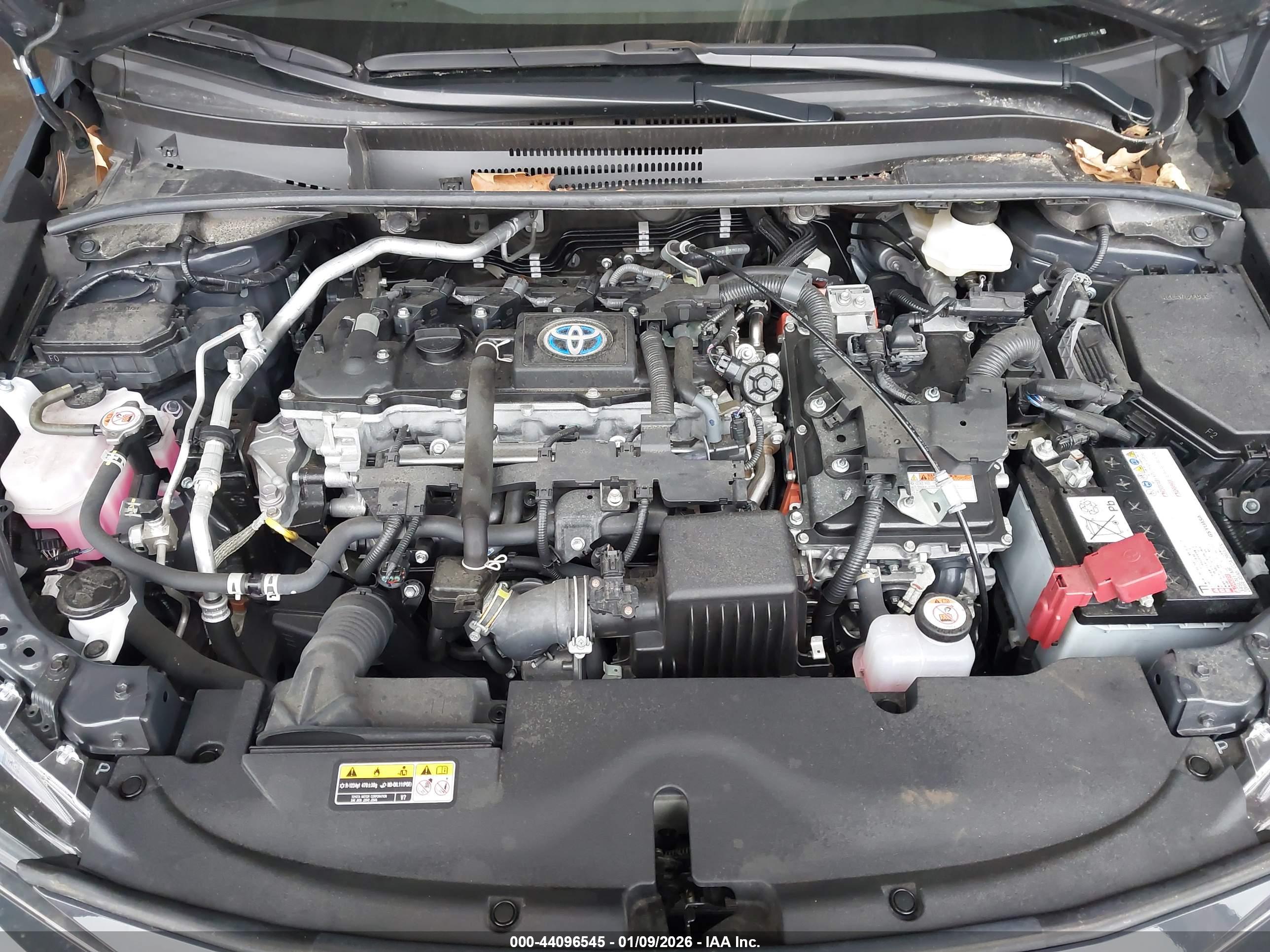 TOYOTA COROLLA image 10