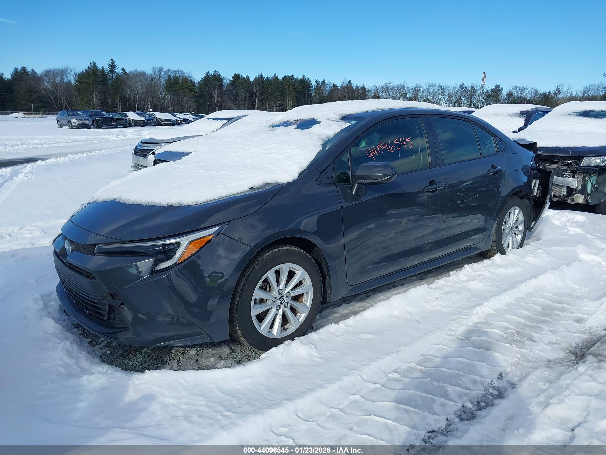 TOYOTA COROLLA image 2