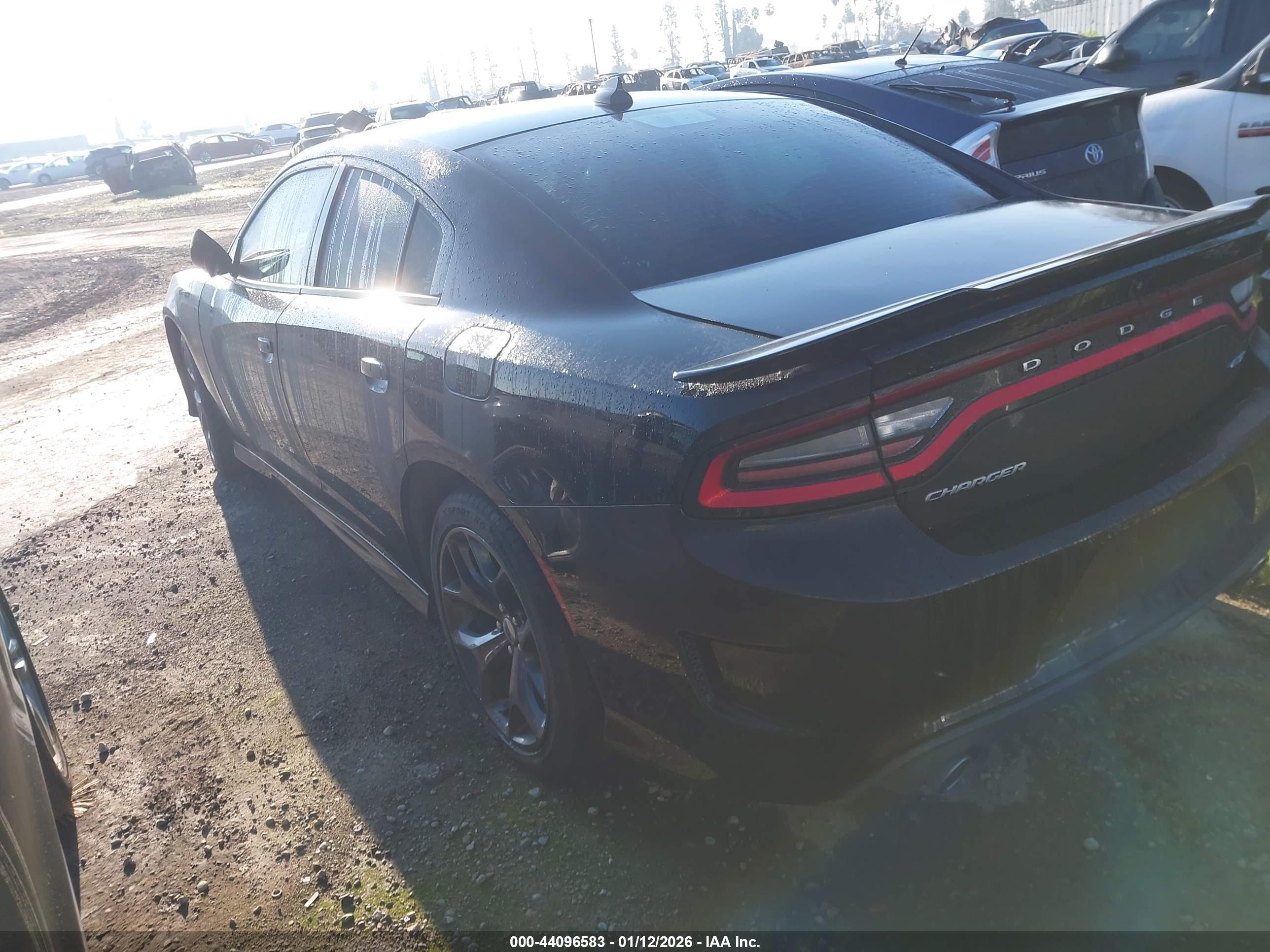 DODGE CHARGER image 3