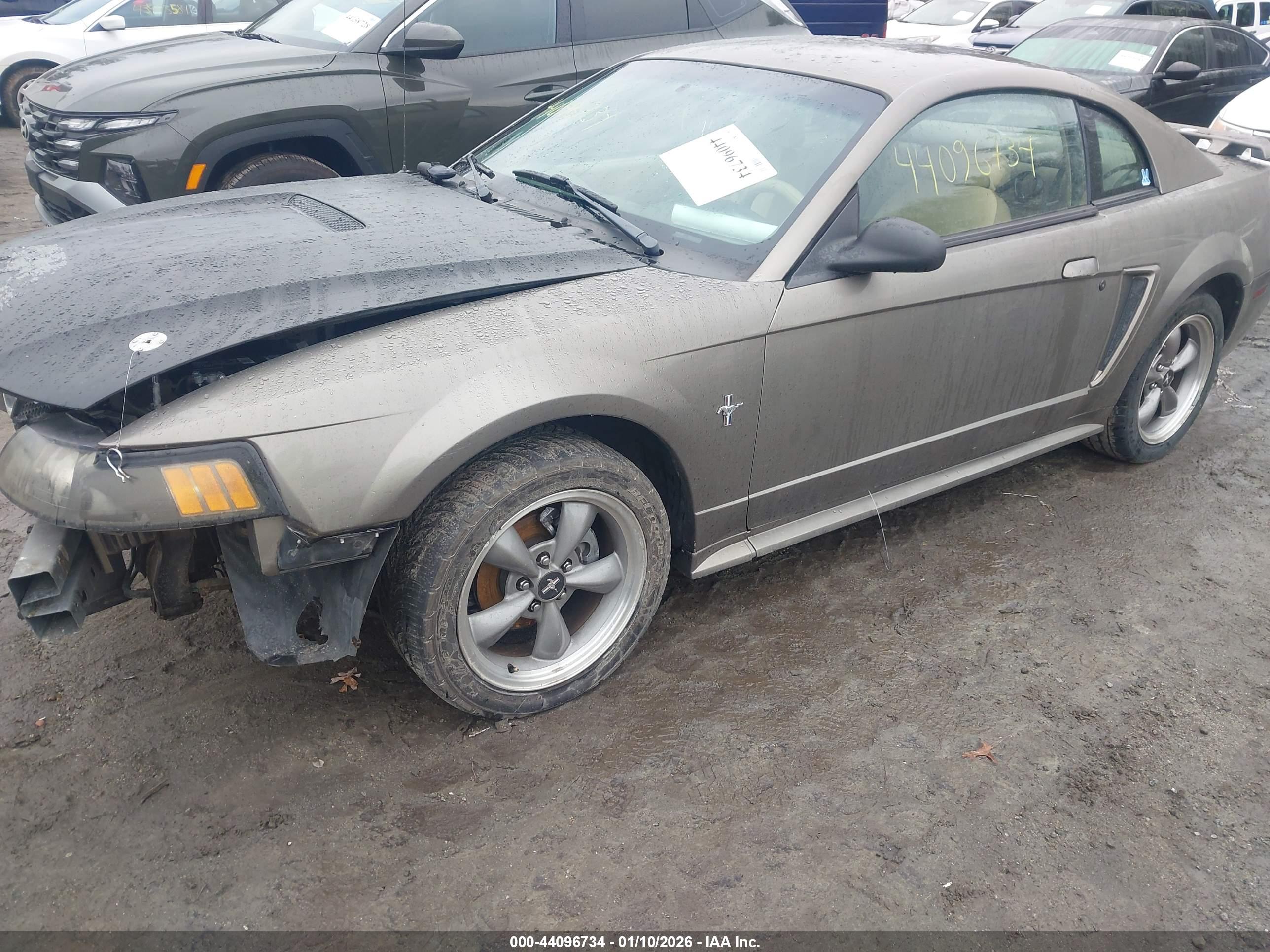 FORD MUSTANG image 2