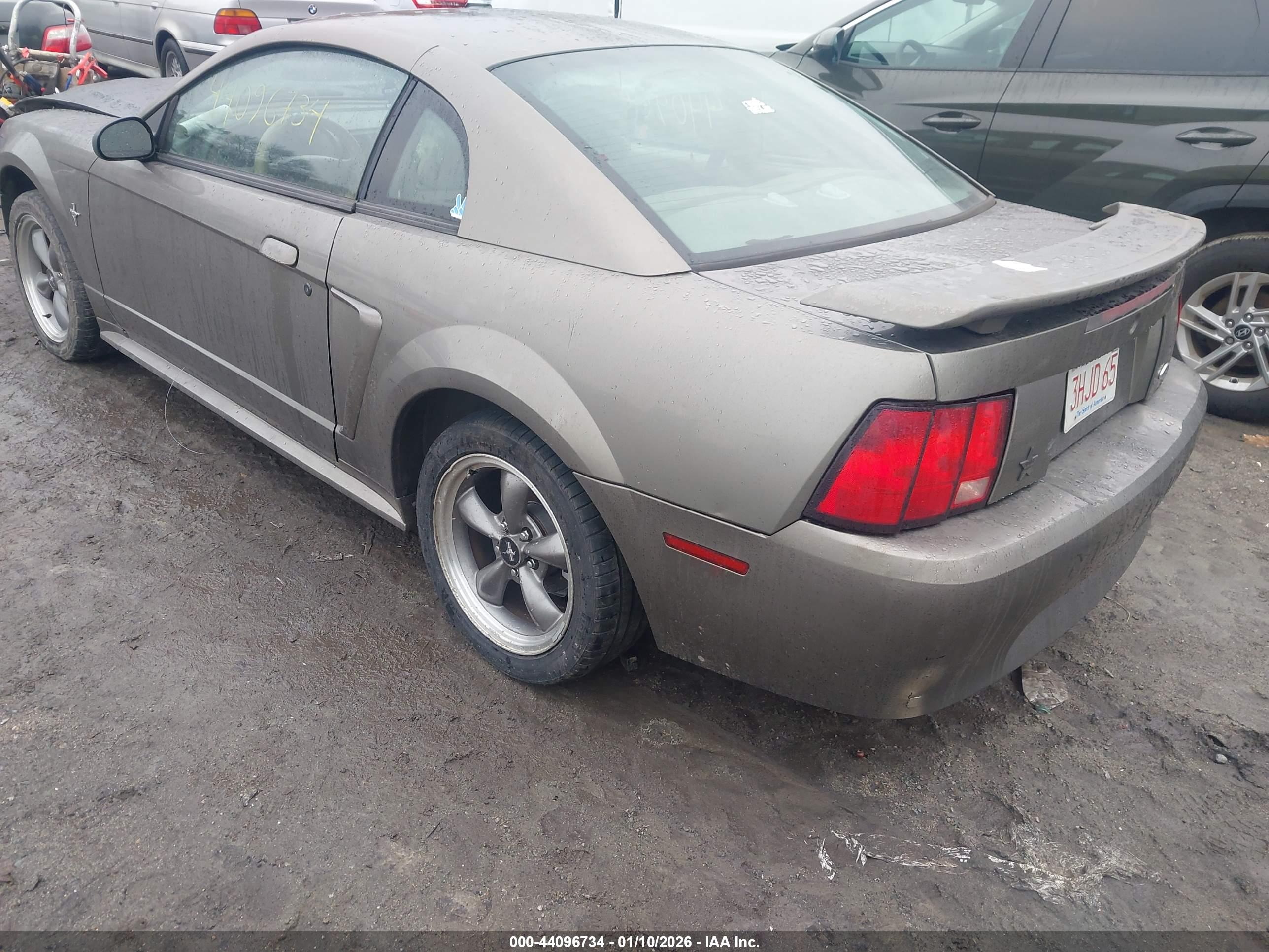 FORD MUSTANG image 3
