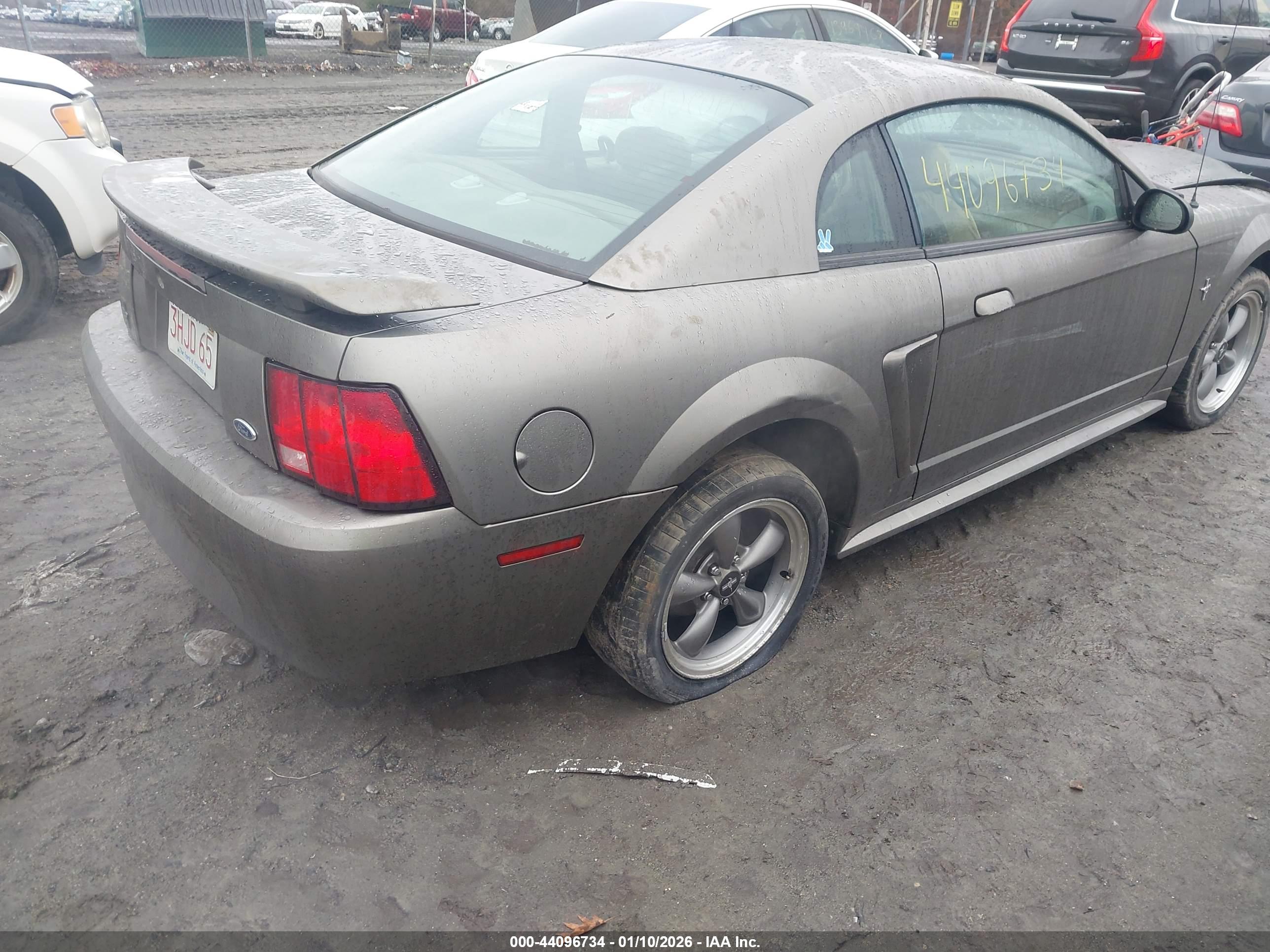 FORD MUSTANG image 4