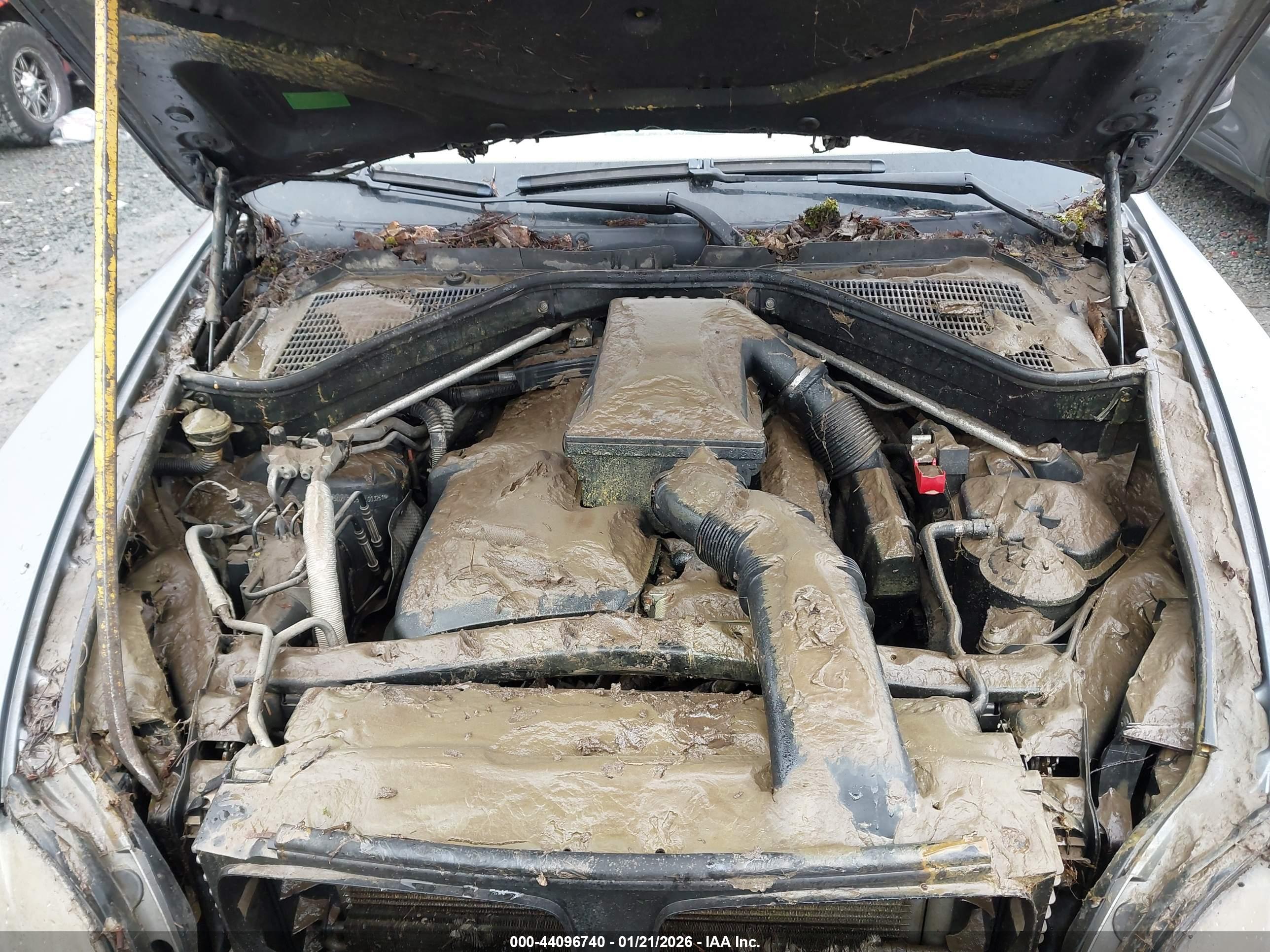 BMW X5 image 10