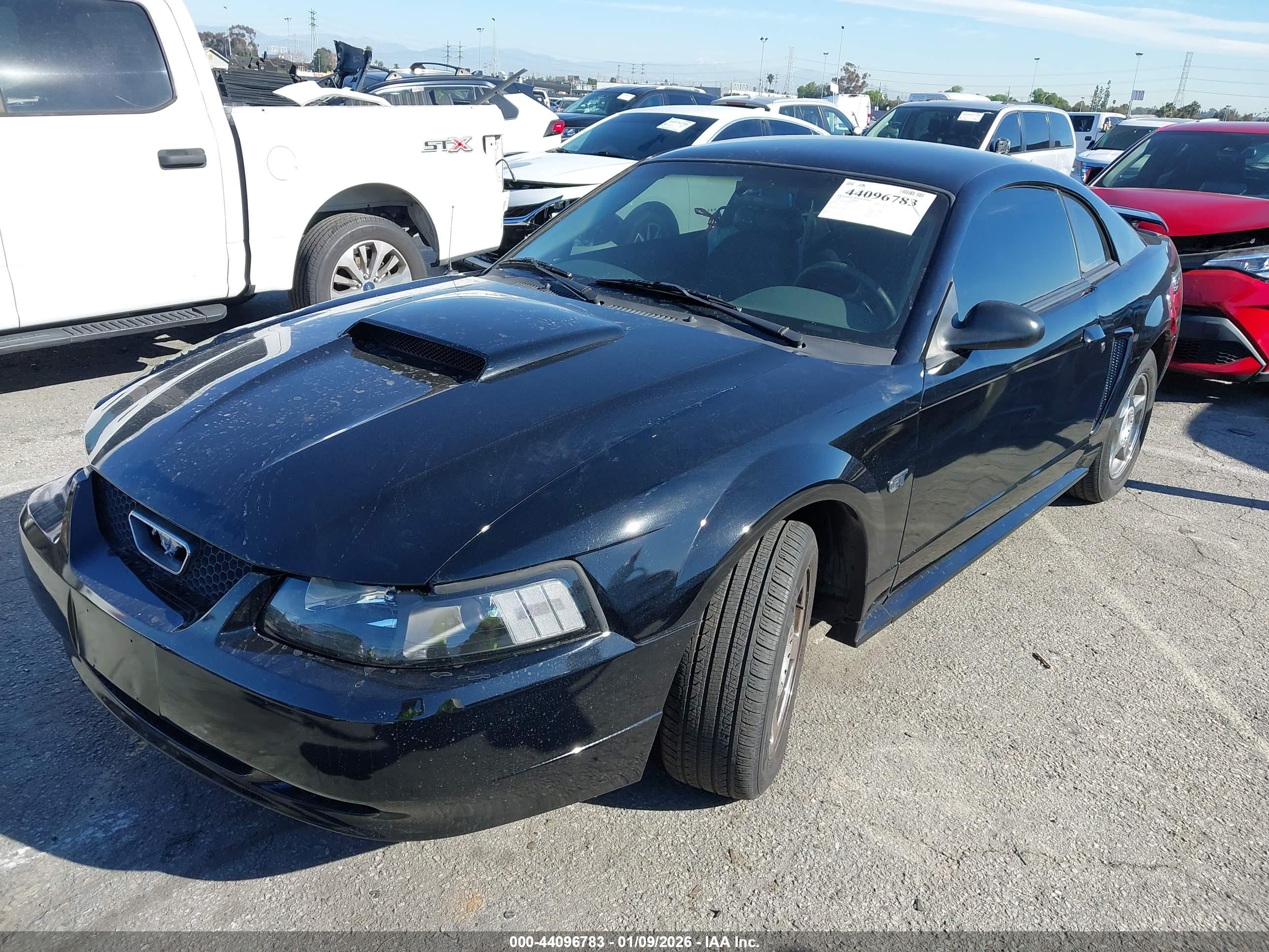 FORD MUSTANG image 2