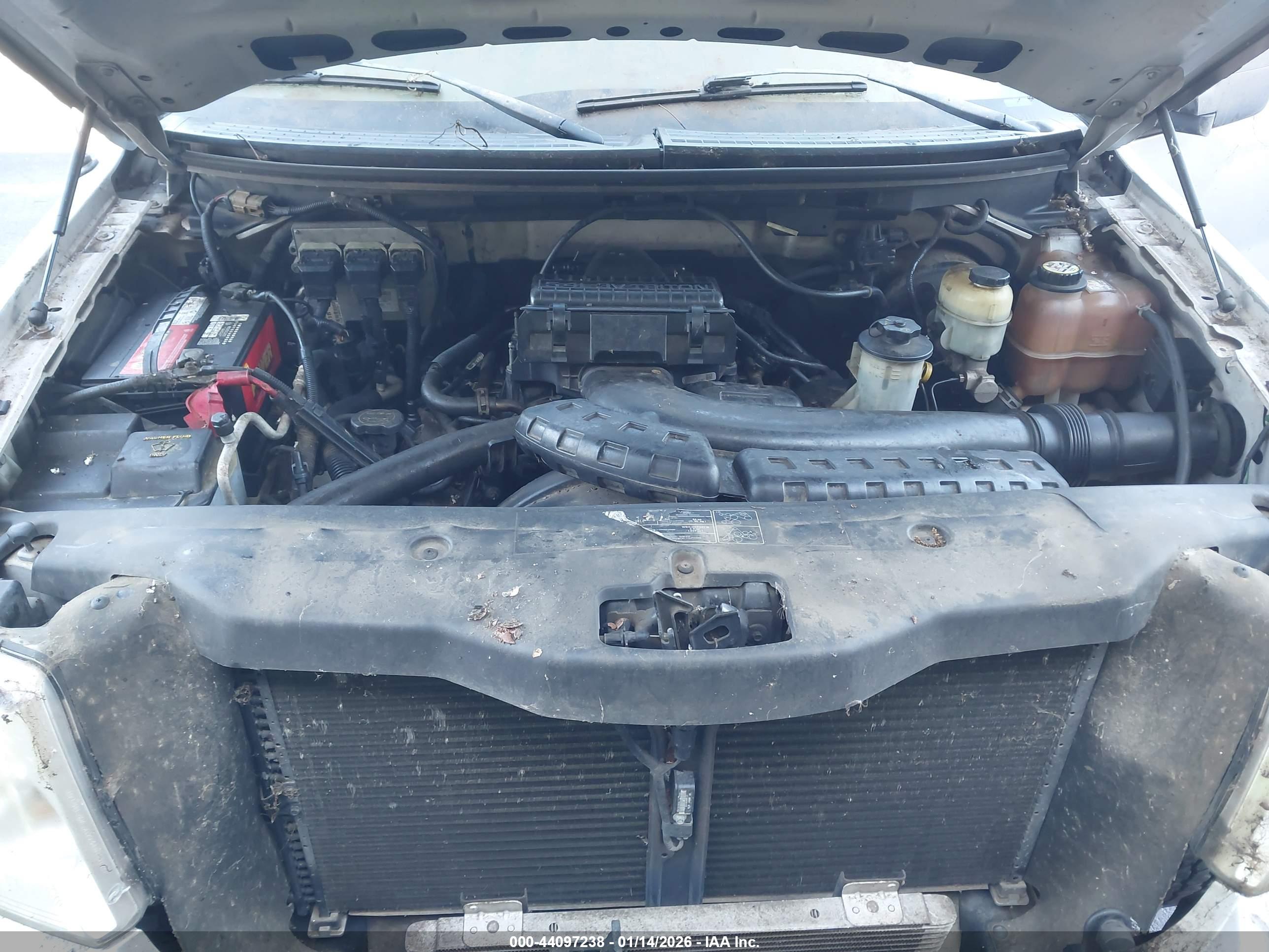FORD F-150 image 10