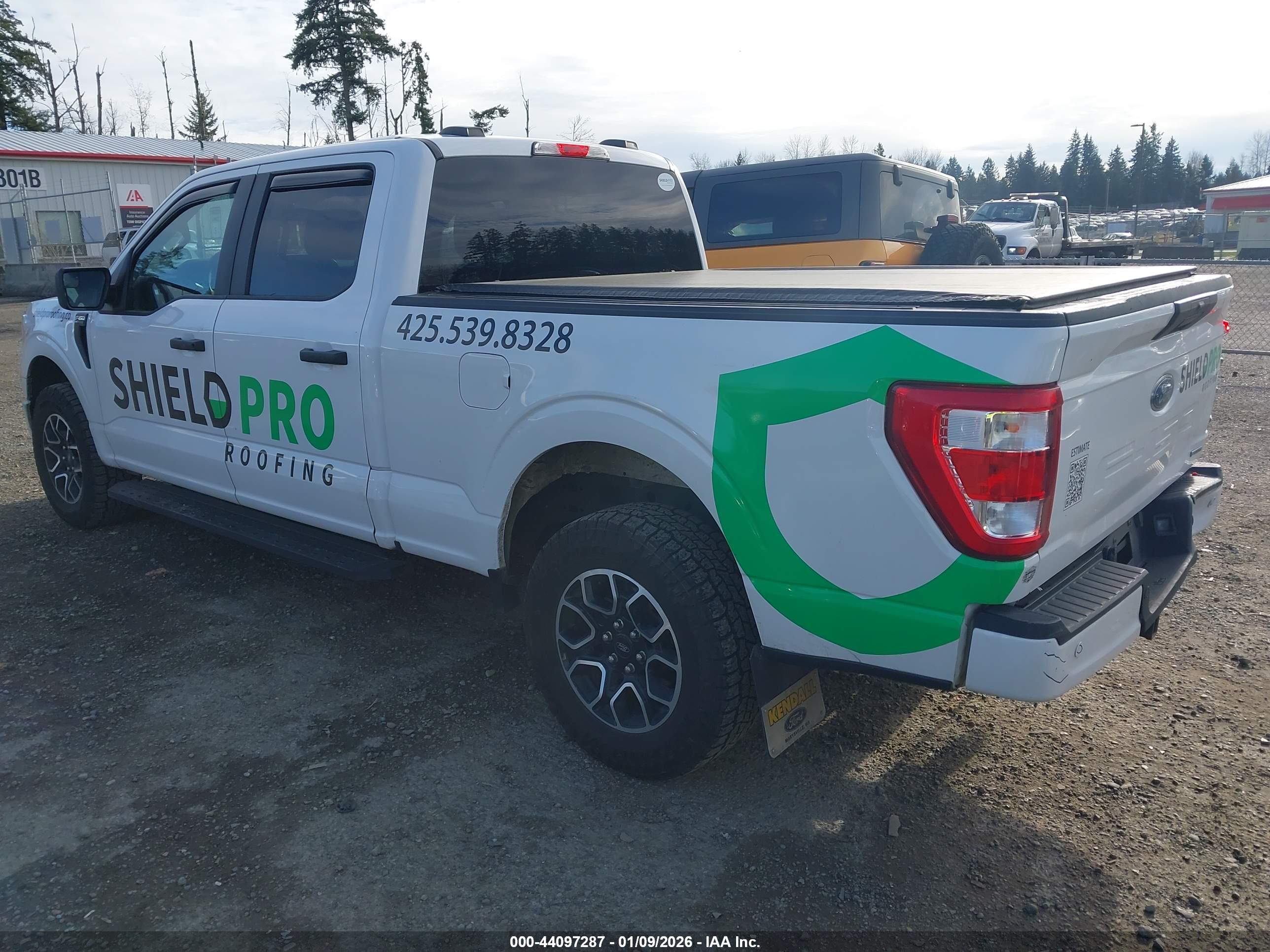 FORD F-150 image 3