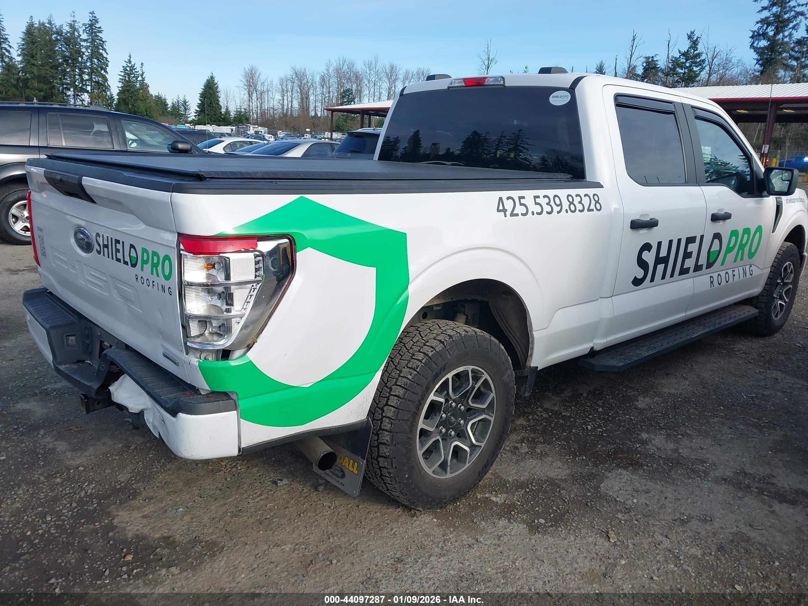 FORD F-150 image 4