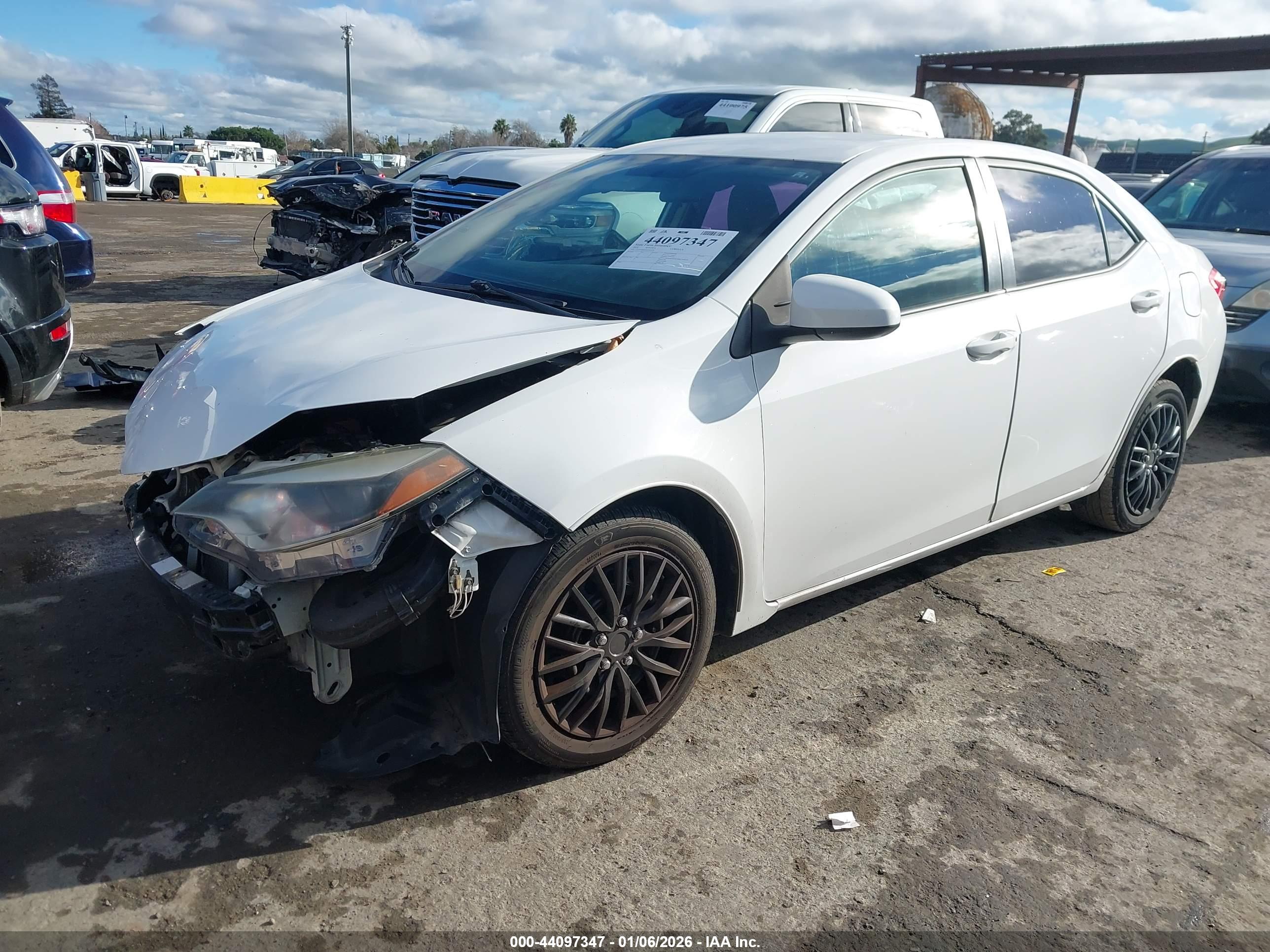 TOYOTA COROLLA image 2