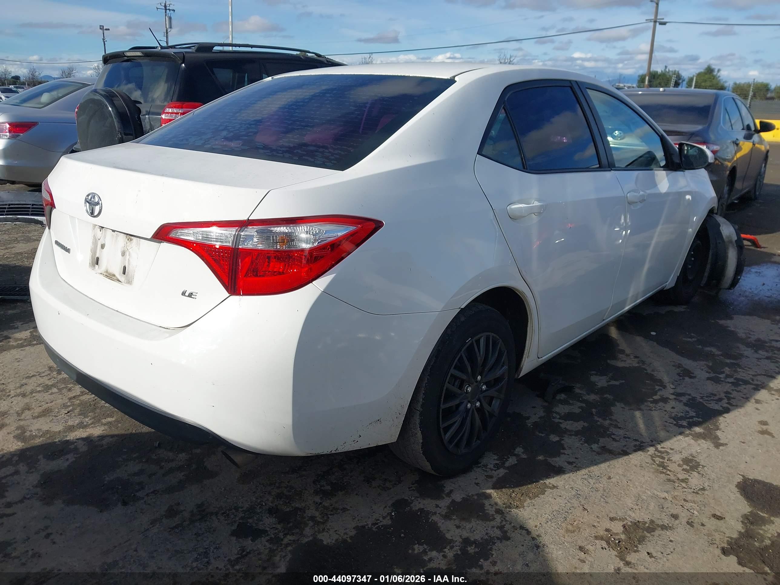 TOYOTA COROLLA image 4