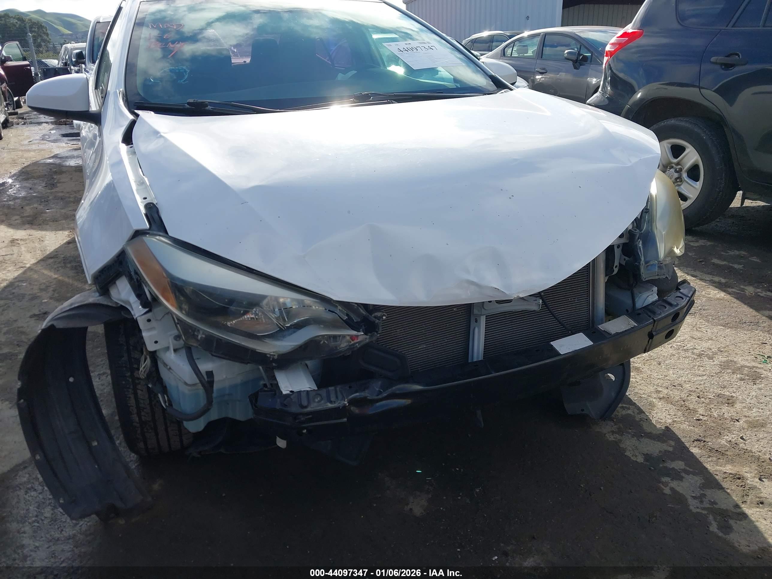 TOYOTA COROLLA image 6