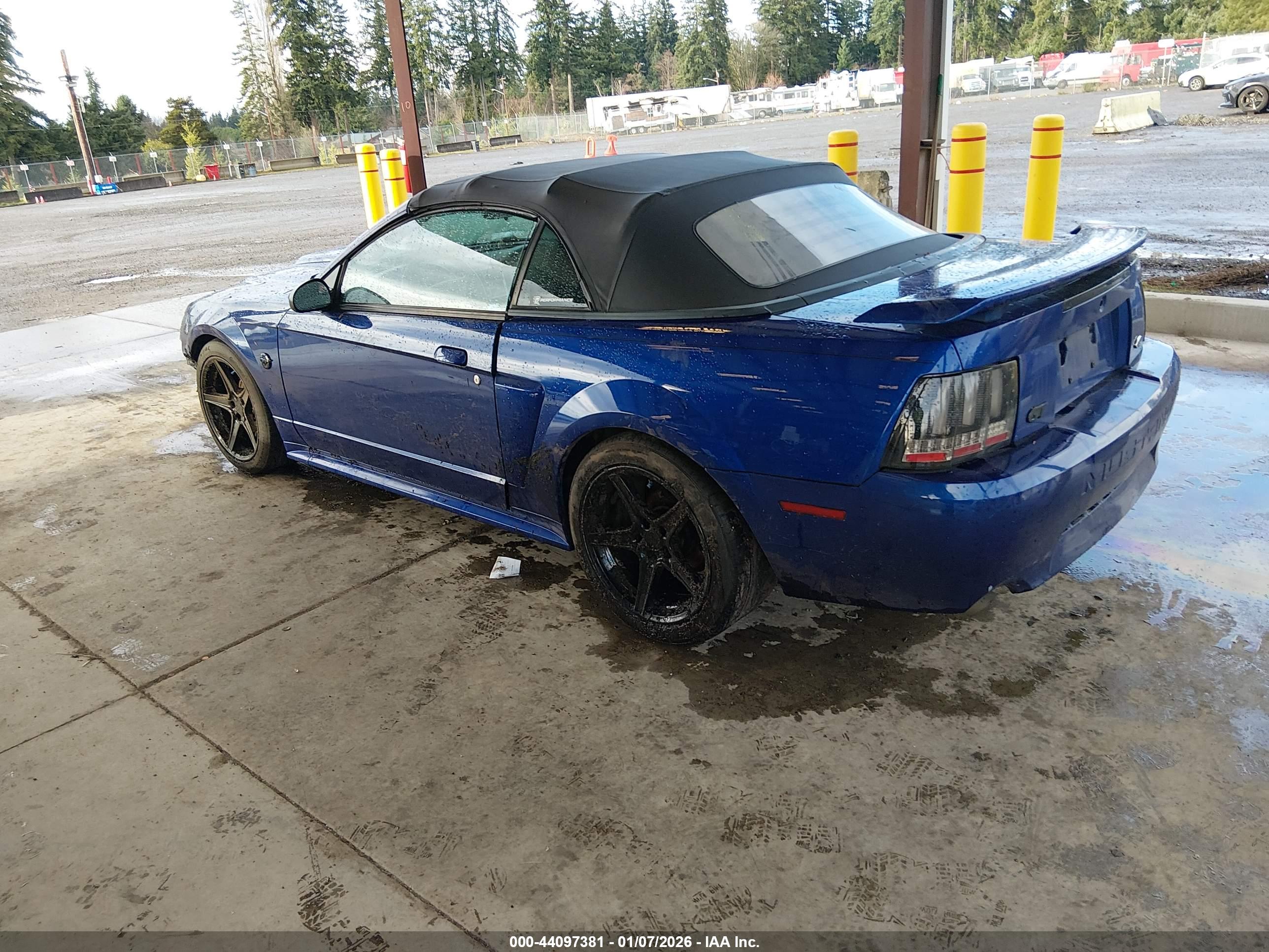 FORD MUSTANG image 3