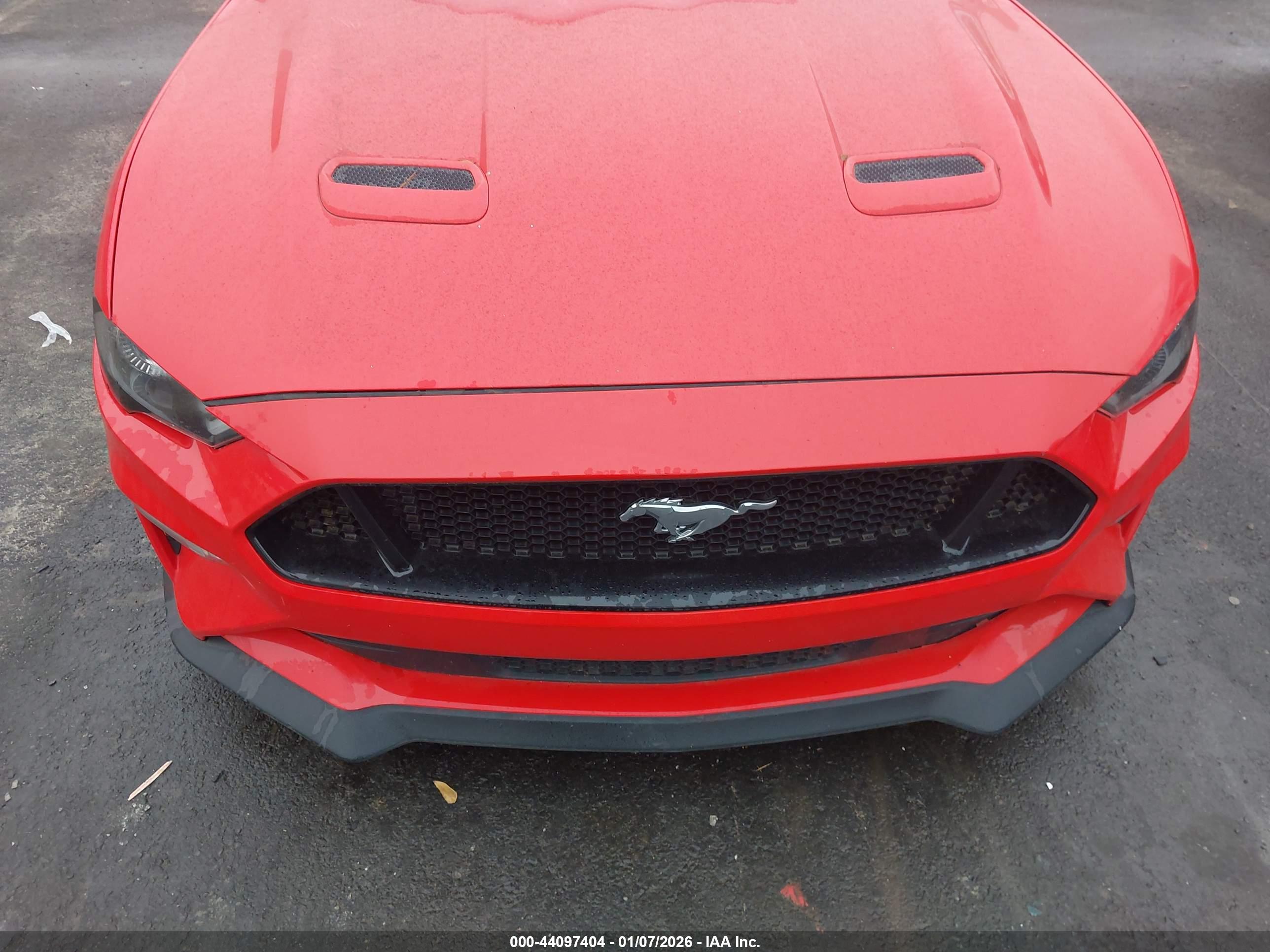 FORD MUSTANG image 6