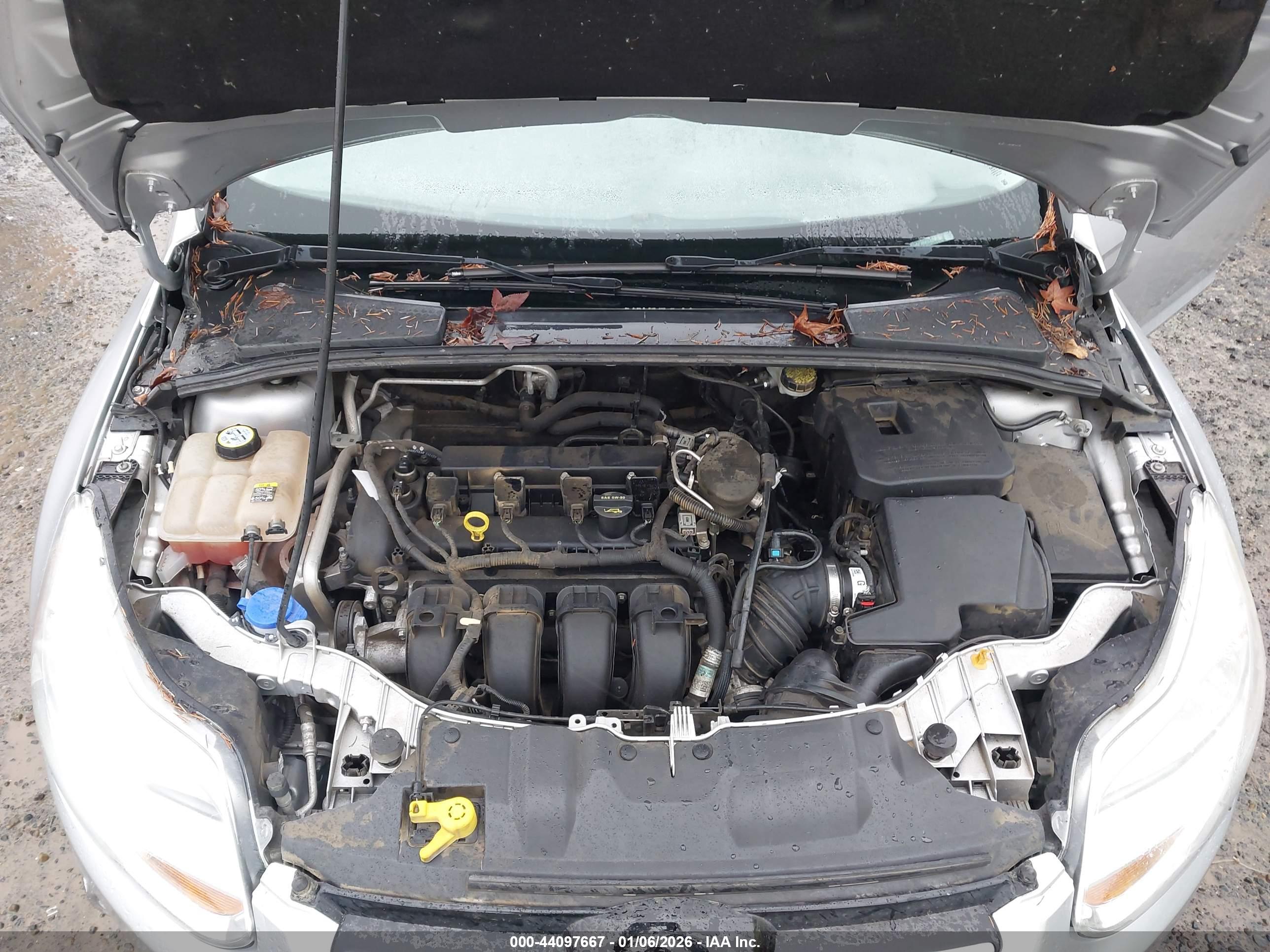 FORD FOCUS image 10