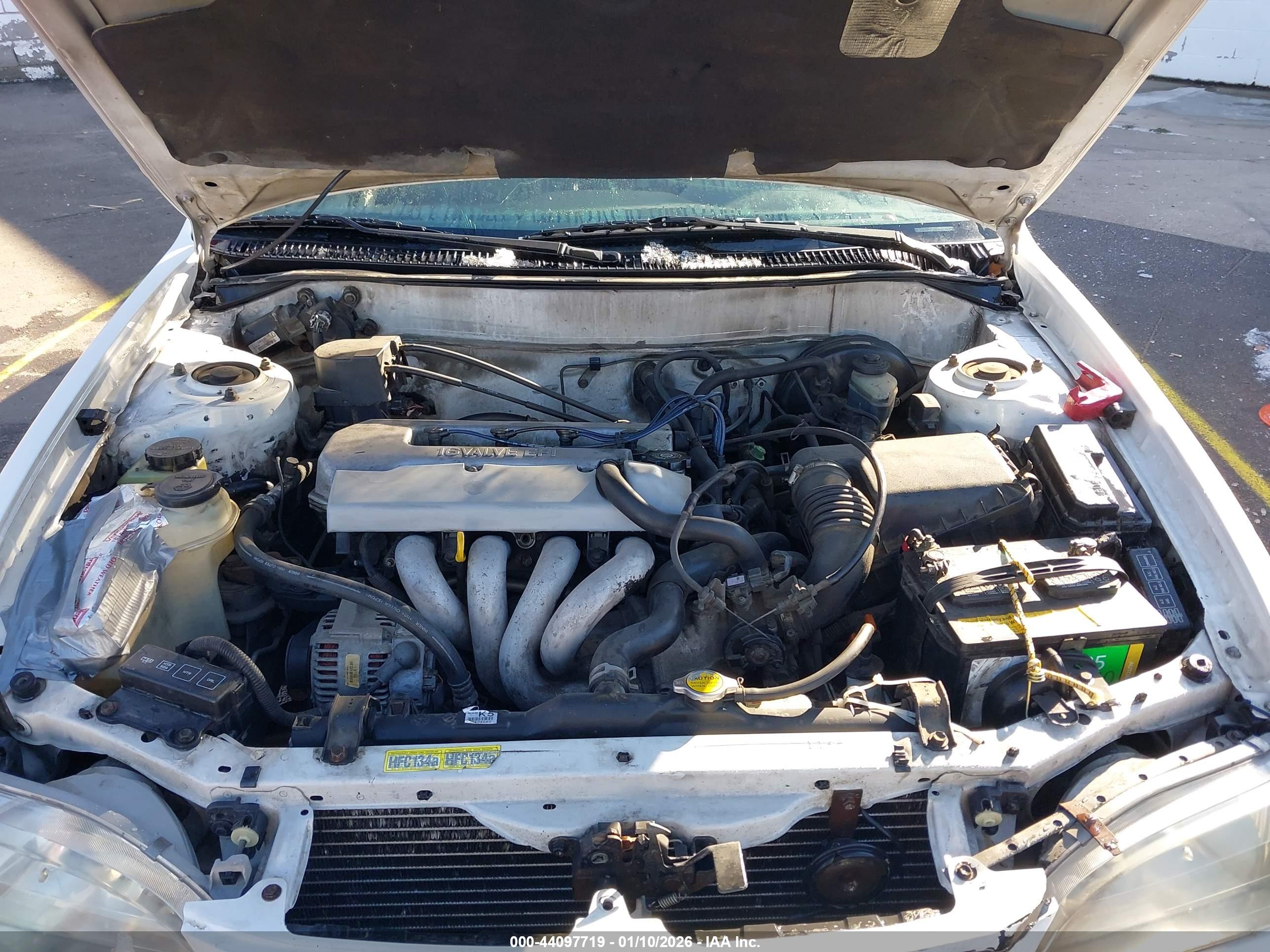 TOYOTA COROLLA image 10