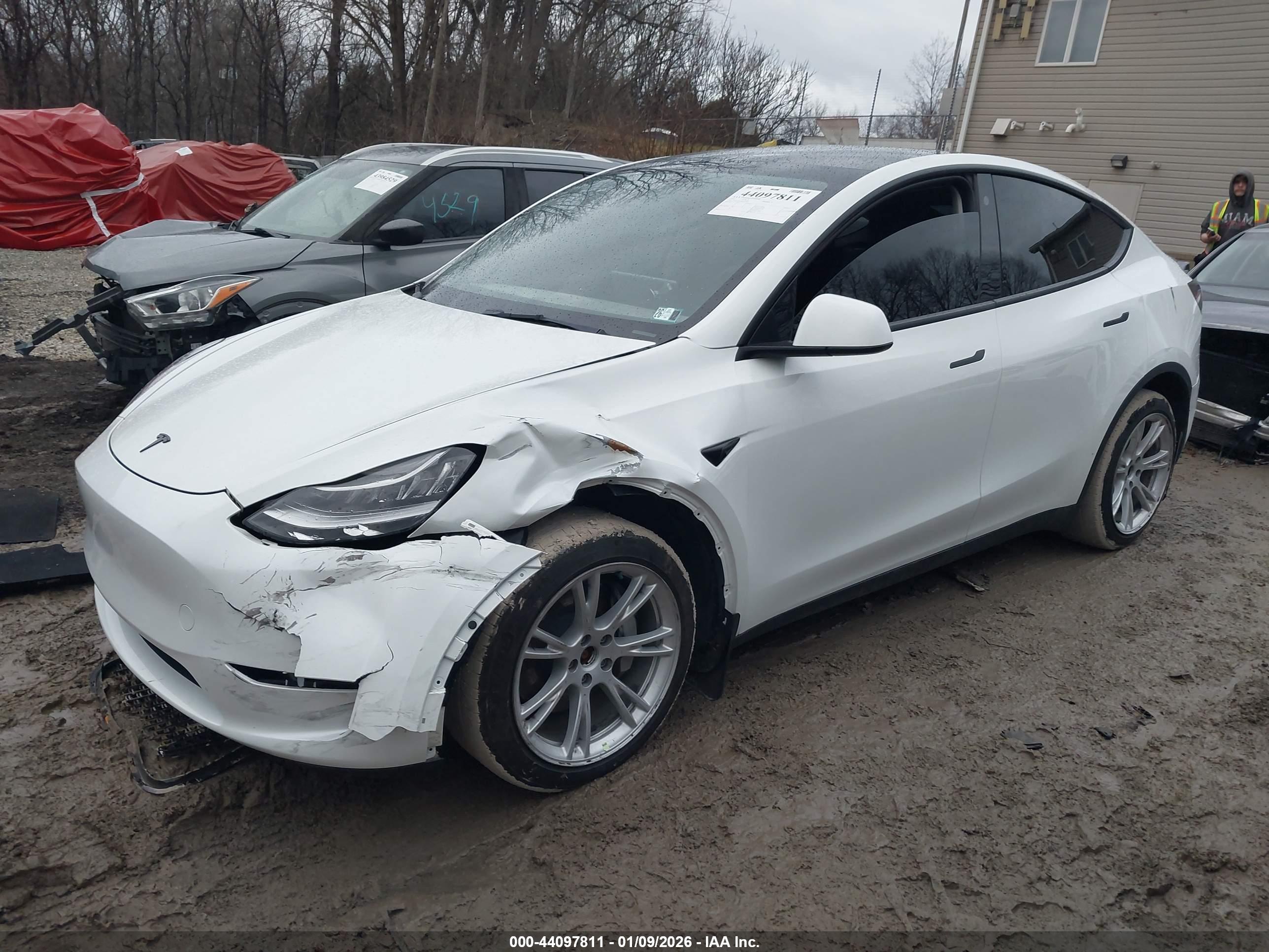 TESLA MODEL image 2