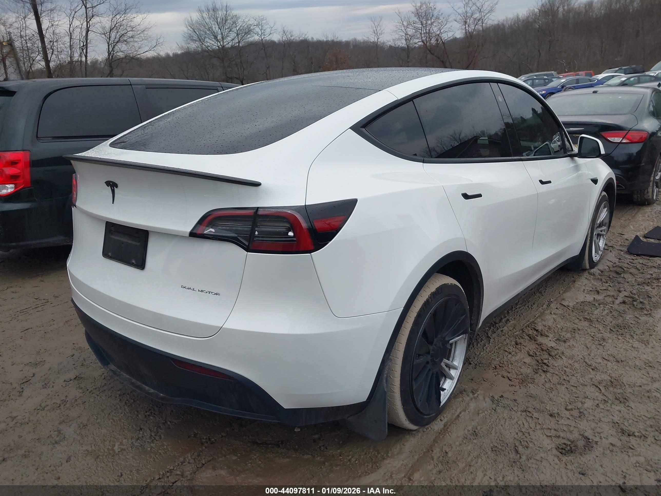 TESLA MODEL image 4