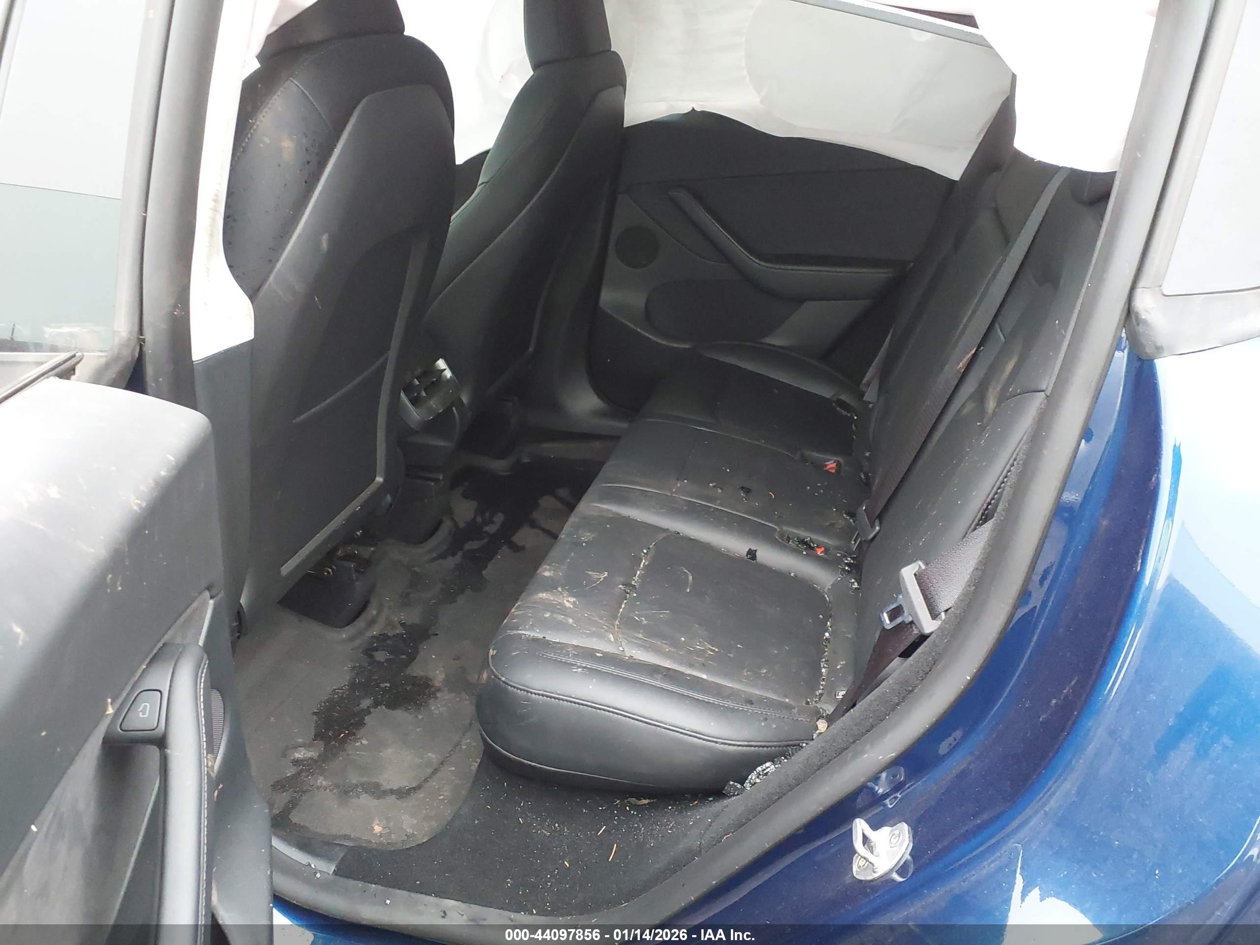 TESLA MODEL image 8